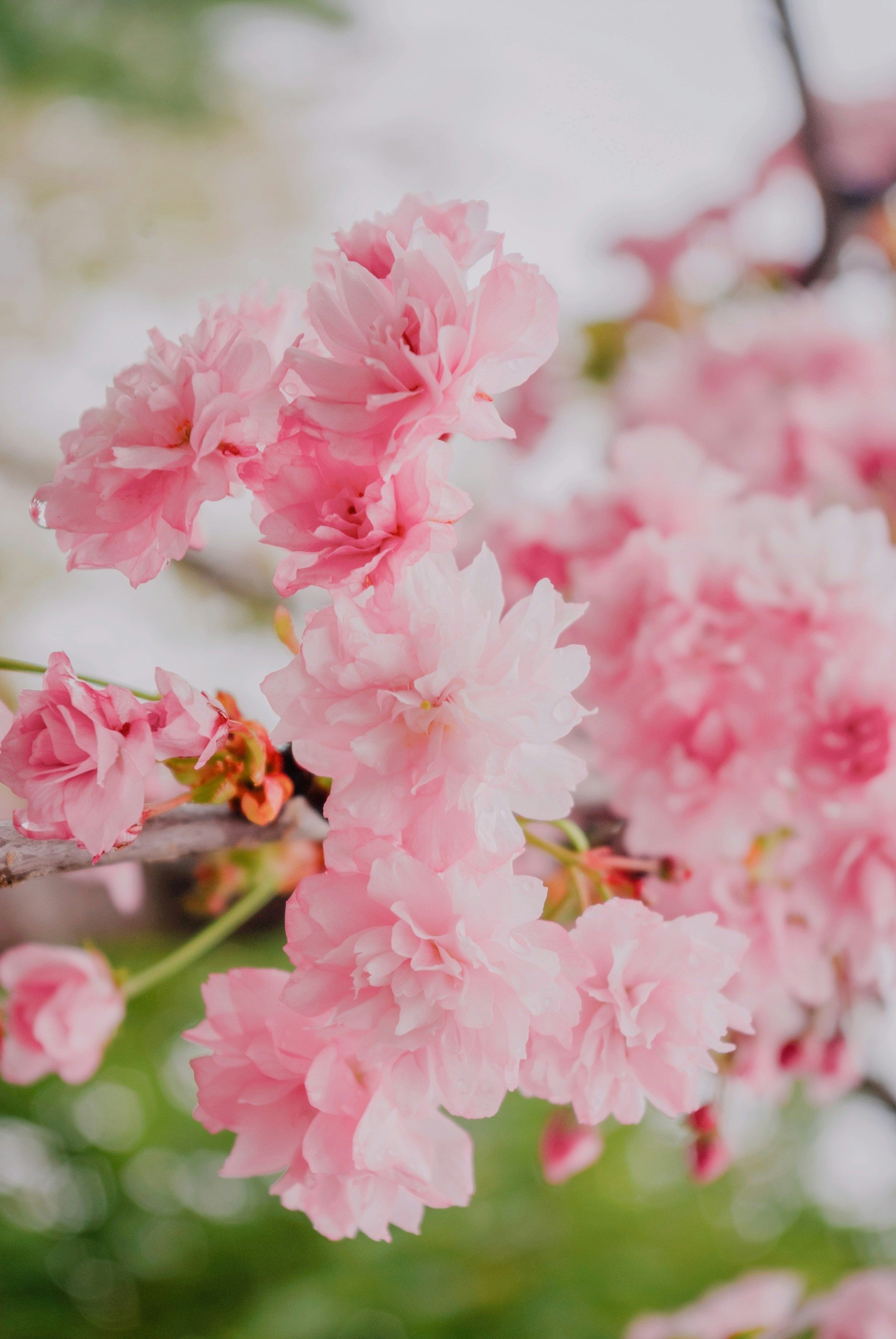 Photo by moonmoons_days