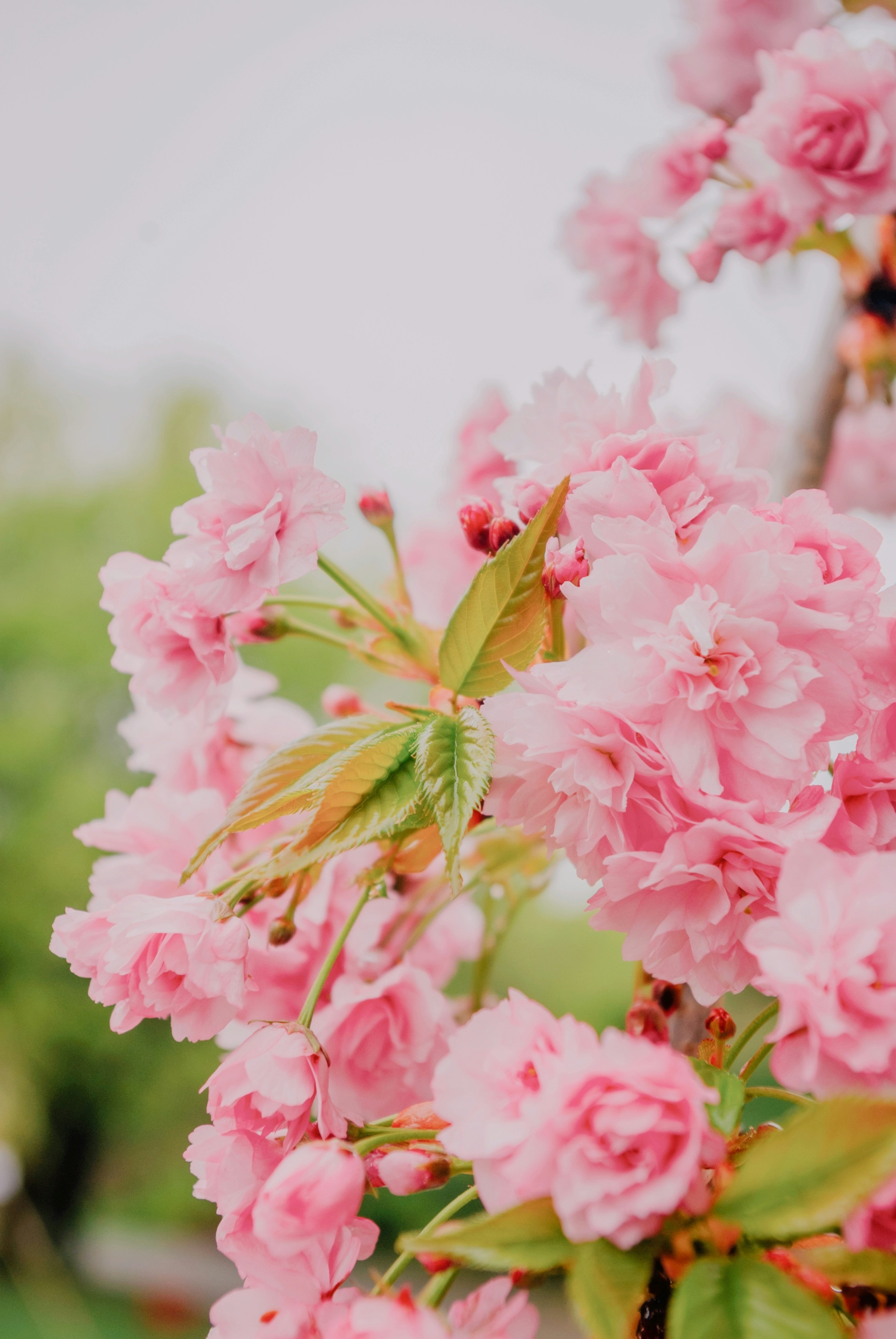 Photo by moonmoons_days