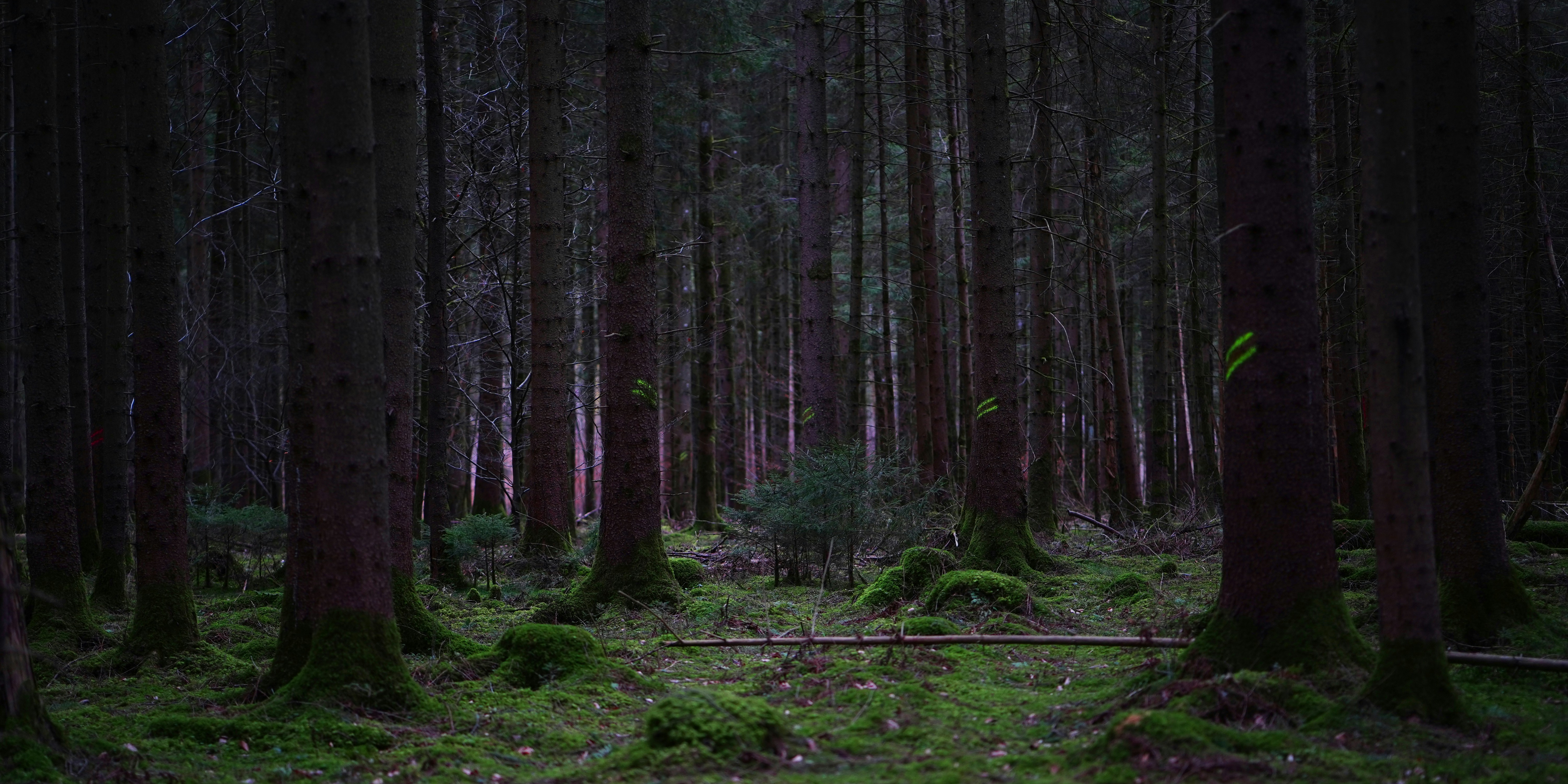 Photo by jensaber