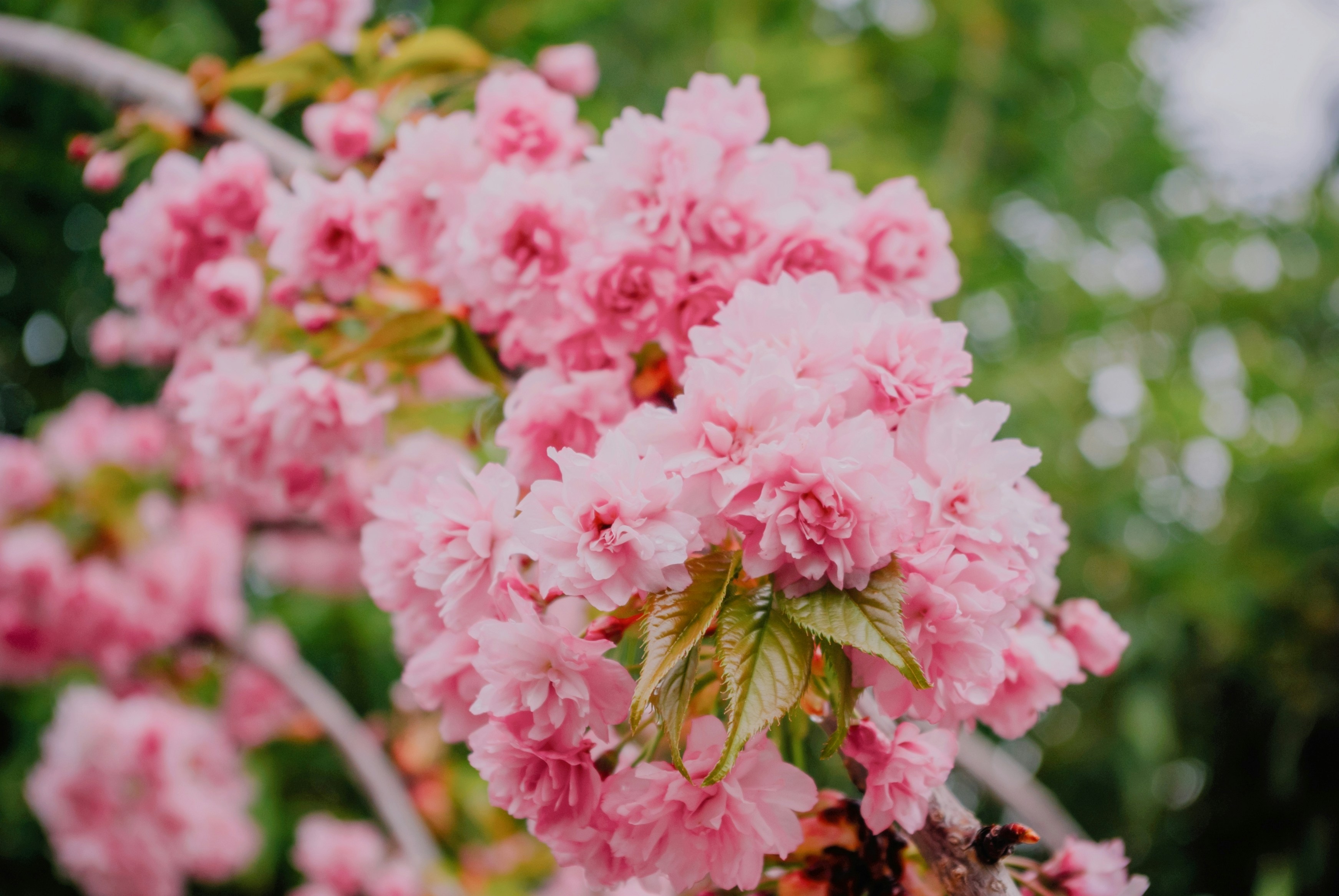 Photo by moonmoons_days