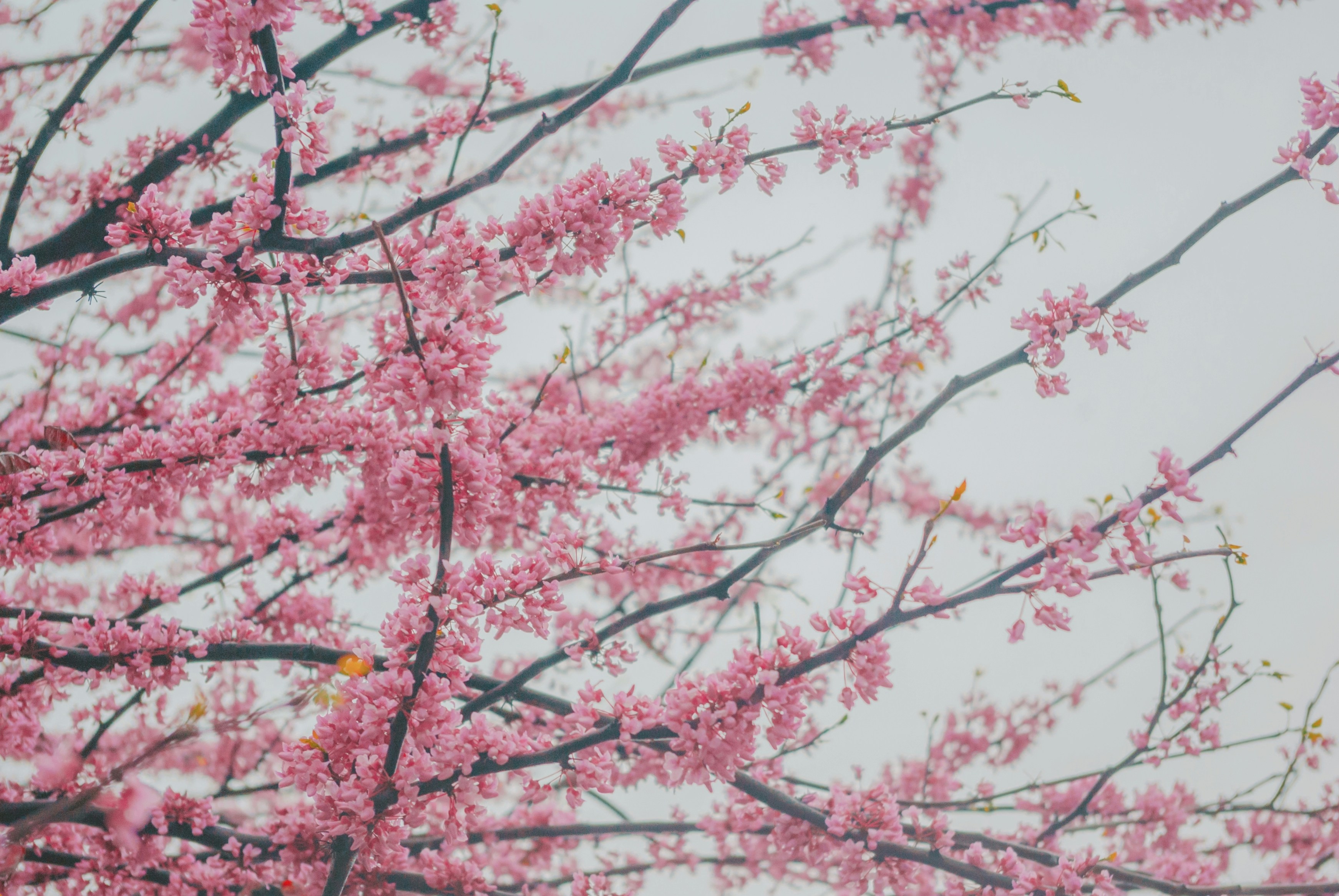 Photo by moonmoons_days