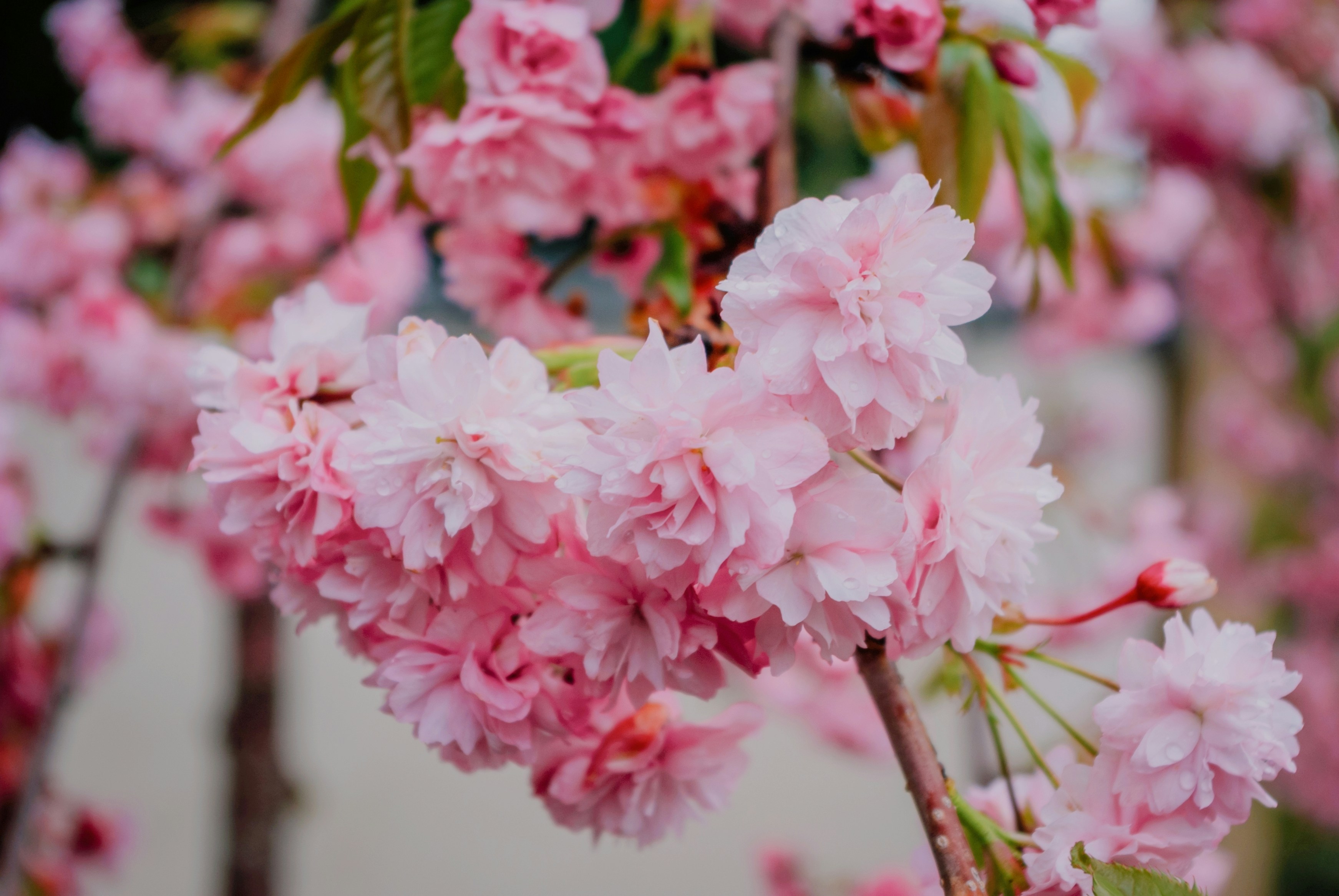 Photo by moonmoons_days