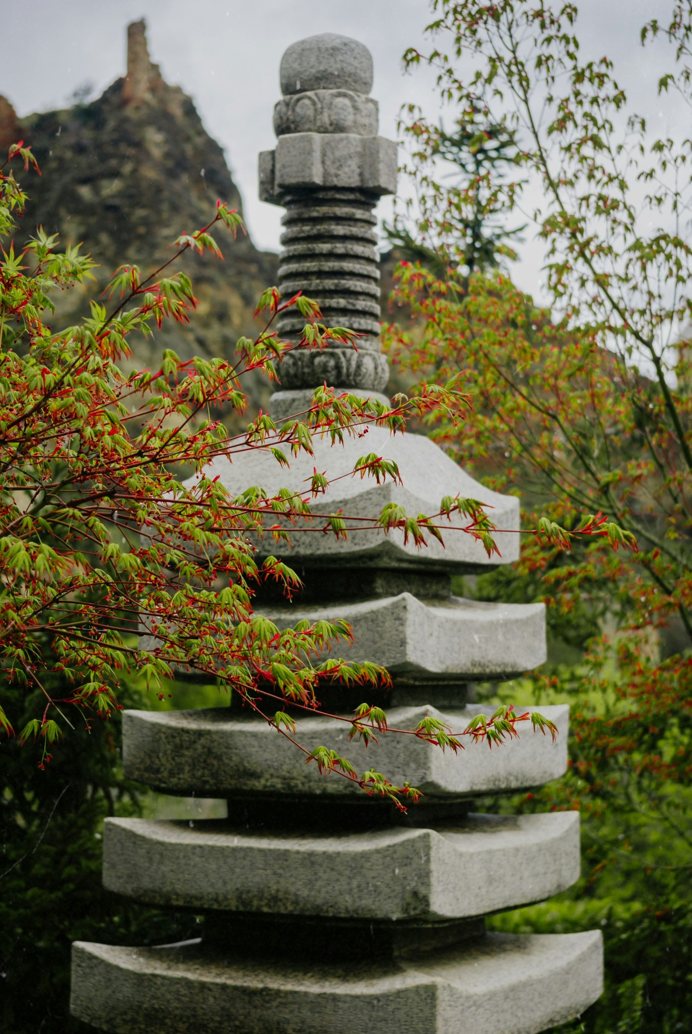 Photo by moonmoons_days