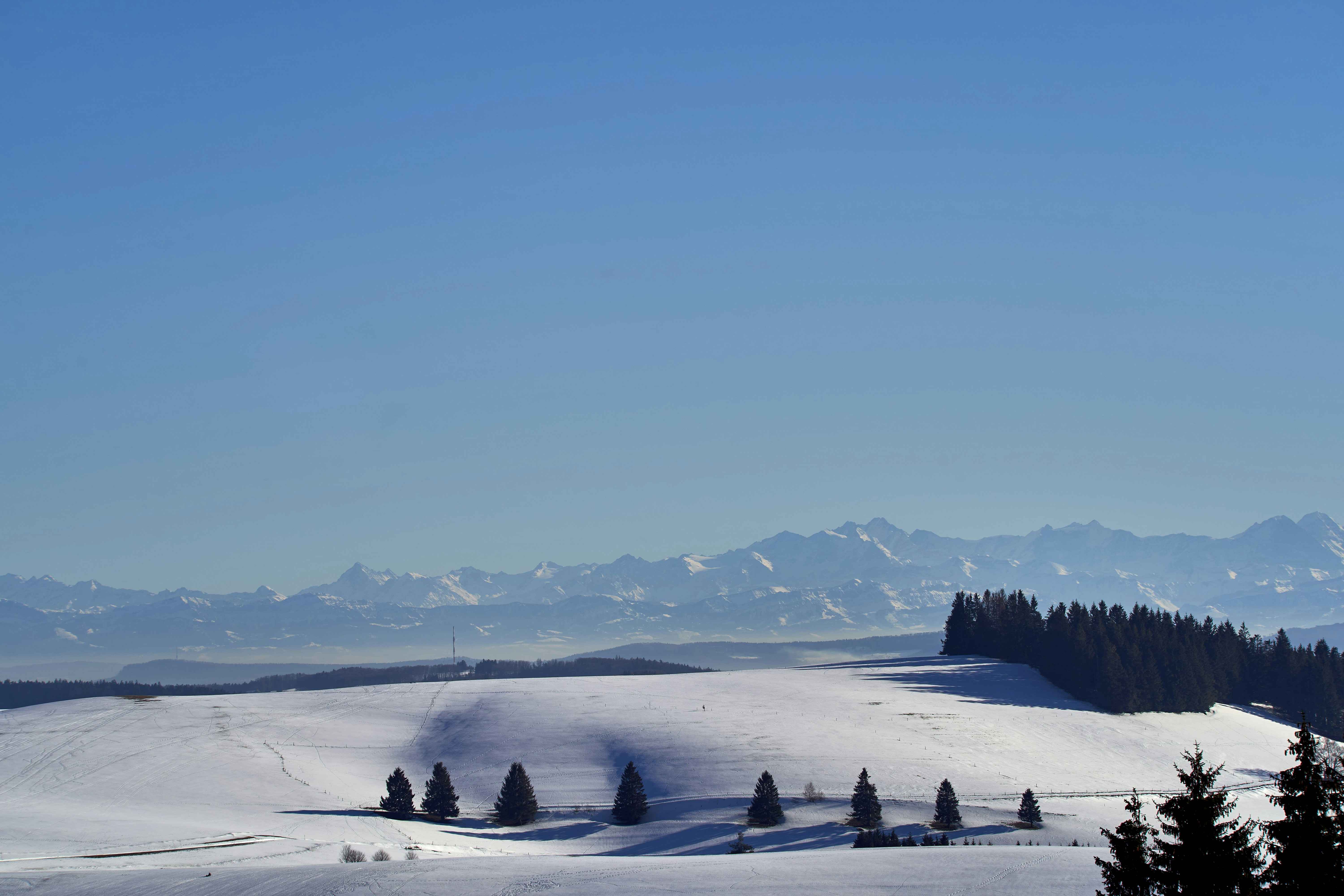 Photo by wolfgang_hasselmann