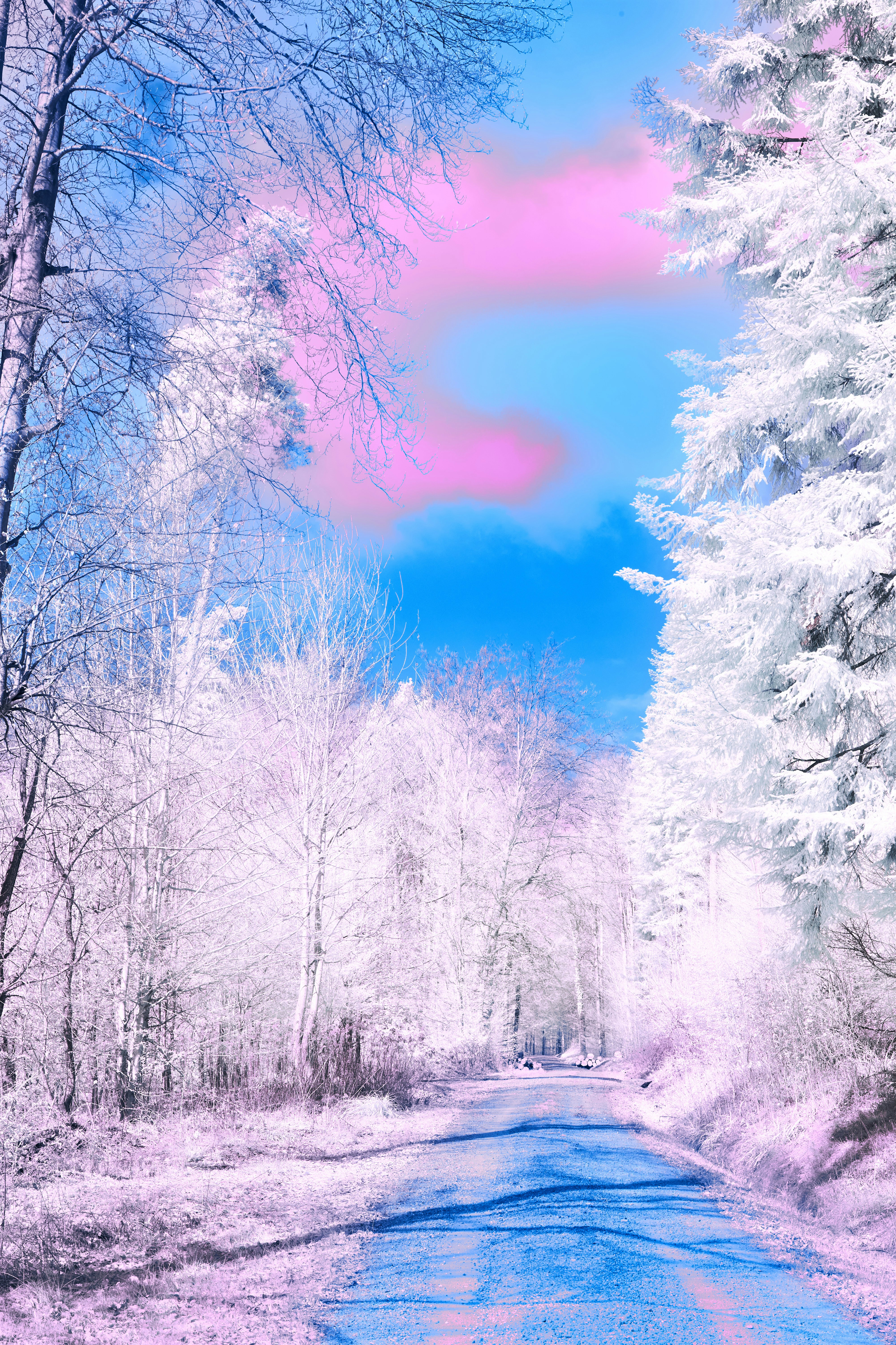 Photo by wolfgang_hasselmann