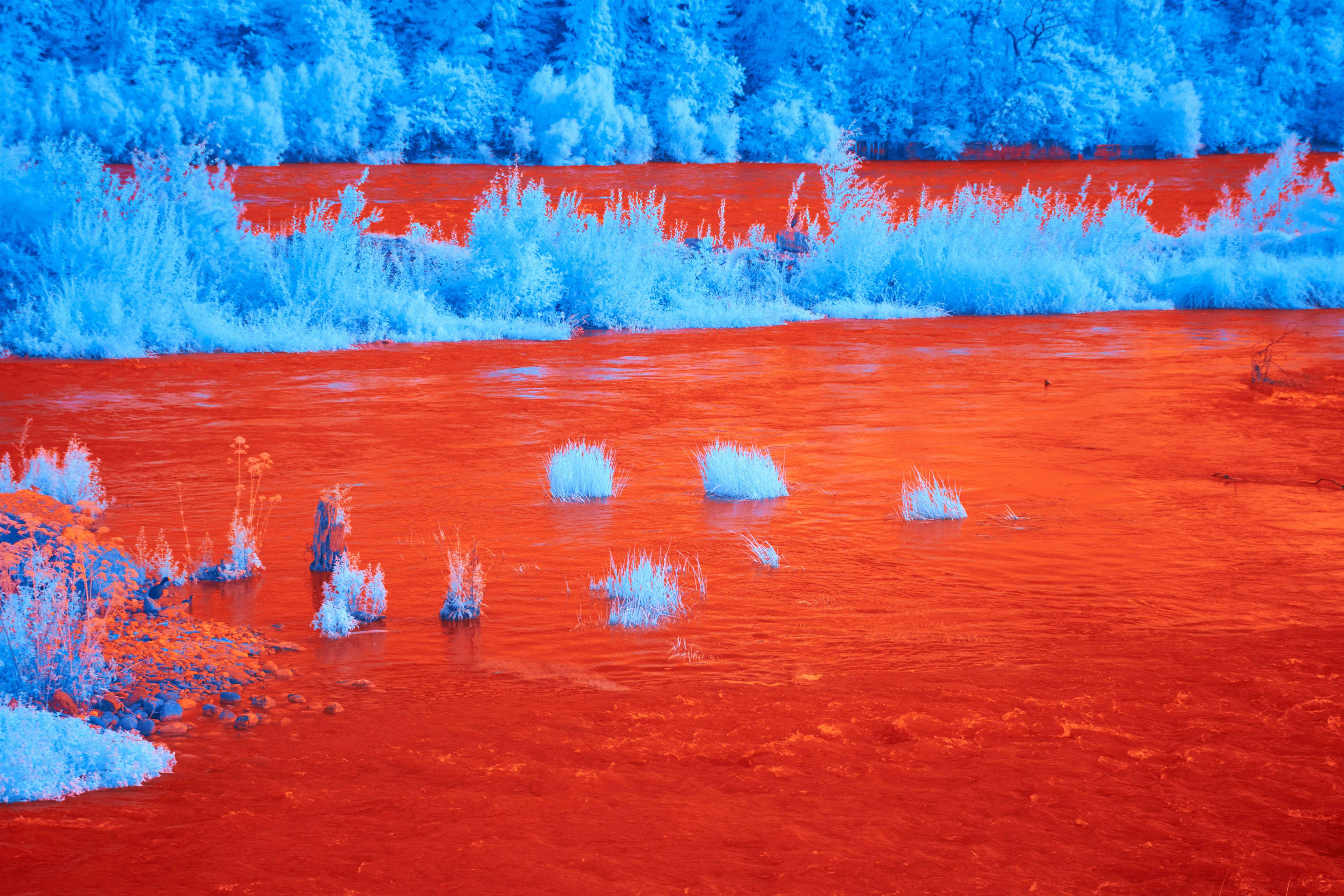 Photo by wolfgang_hasselmann