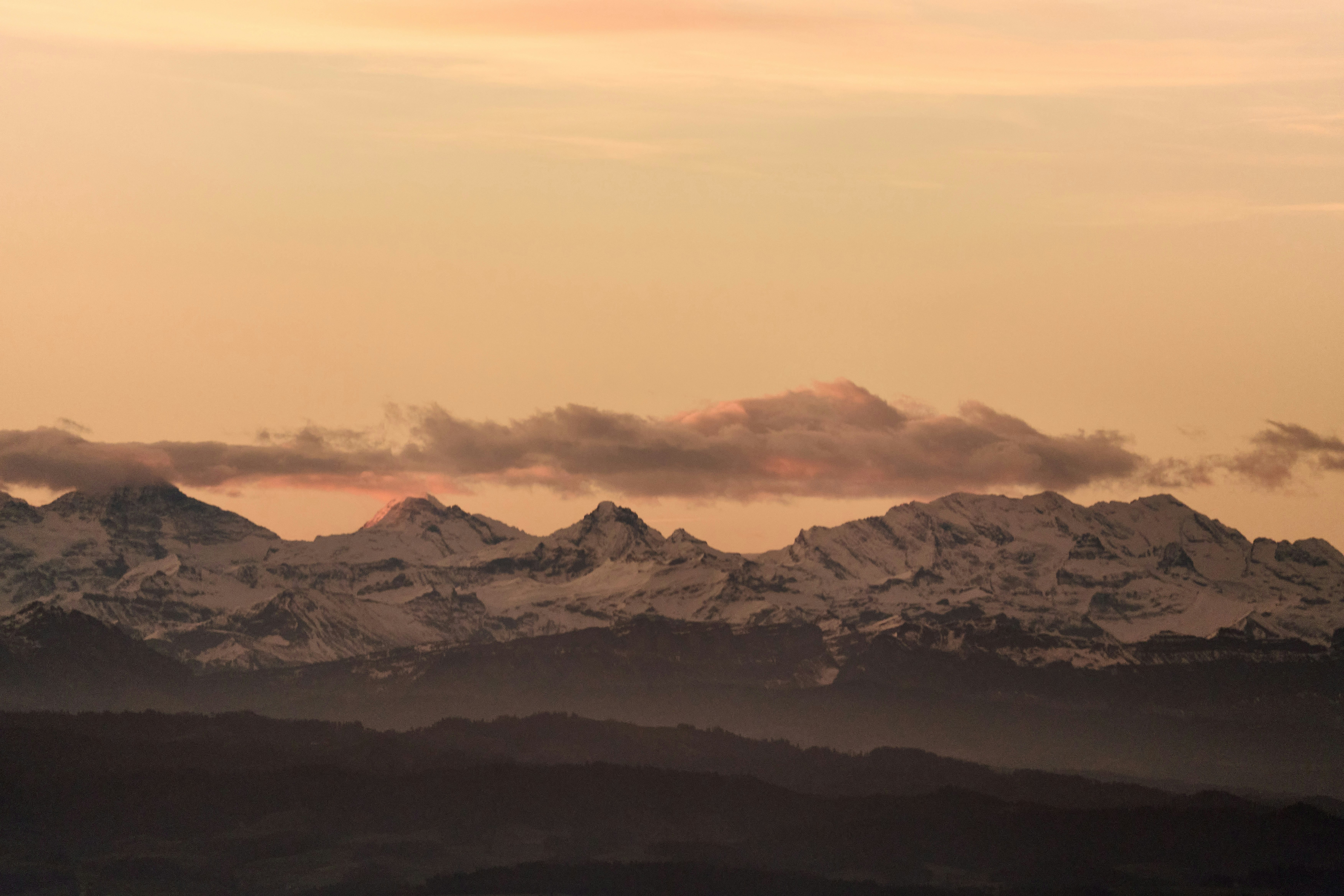 Photo by wolfgang_hasselmann