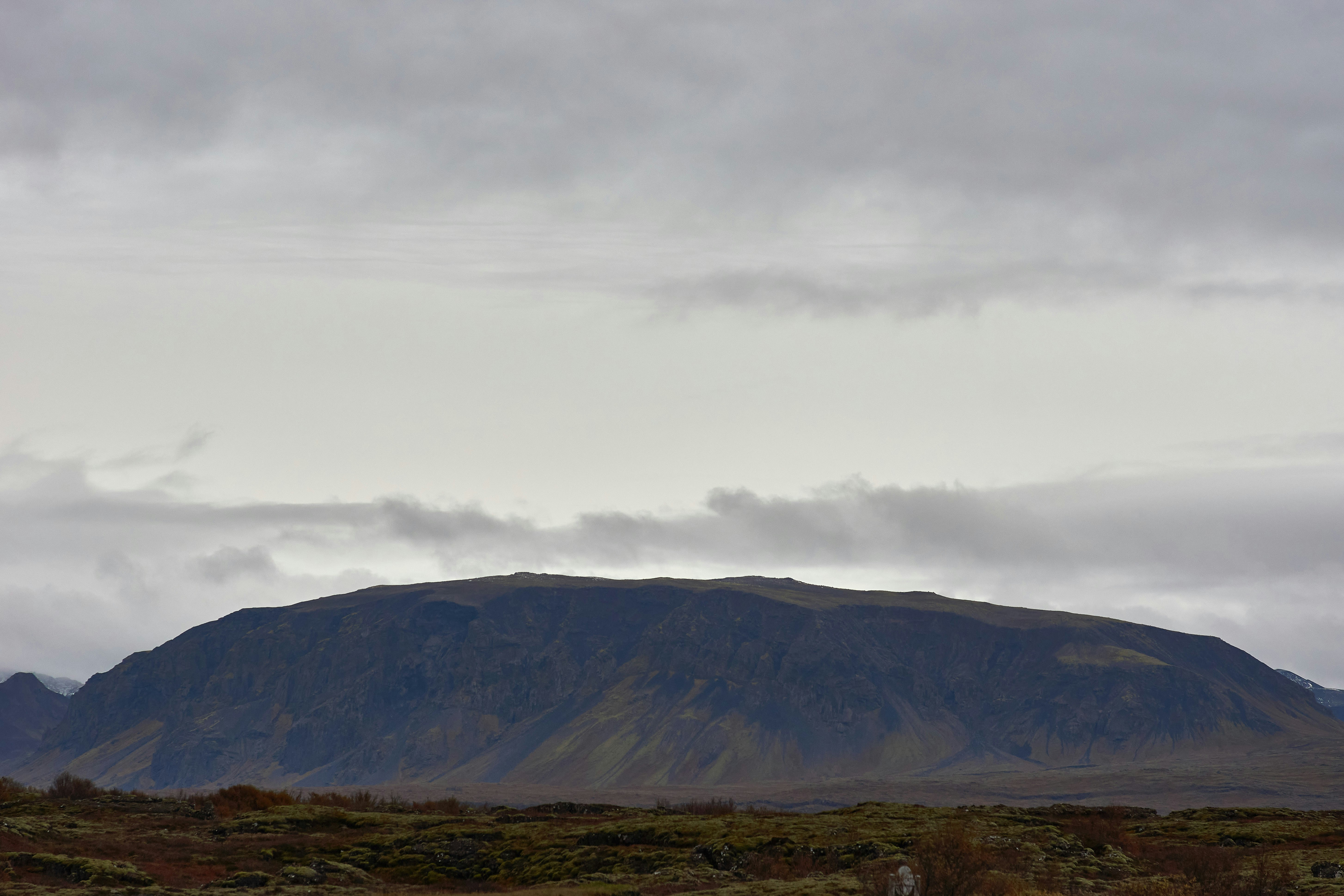 Photo by wolfgang_hasselmann