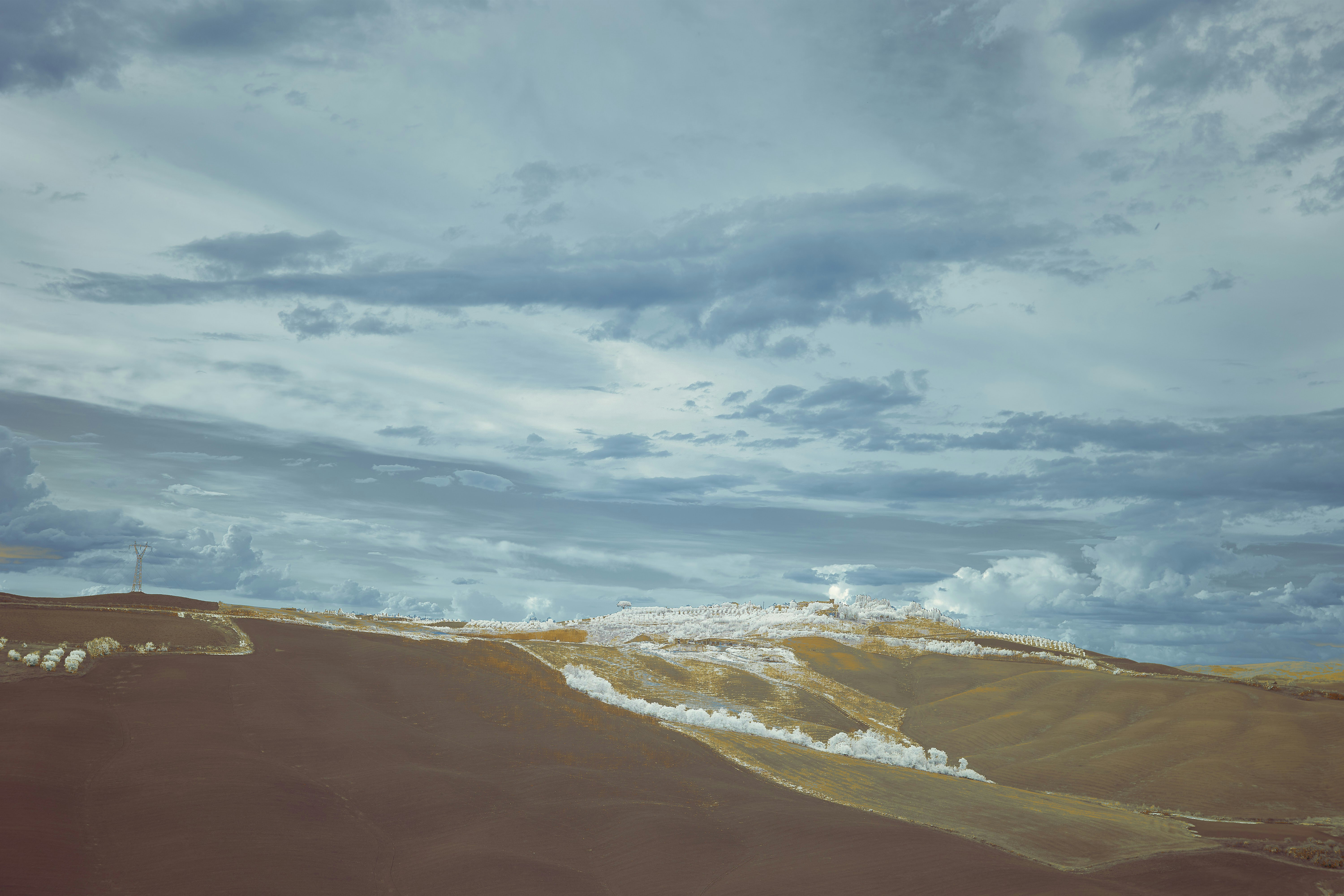 Photo by wolfgang_hasselmann