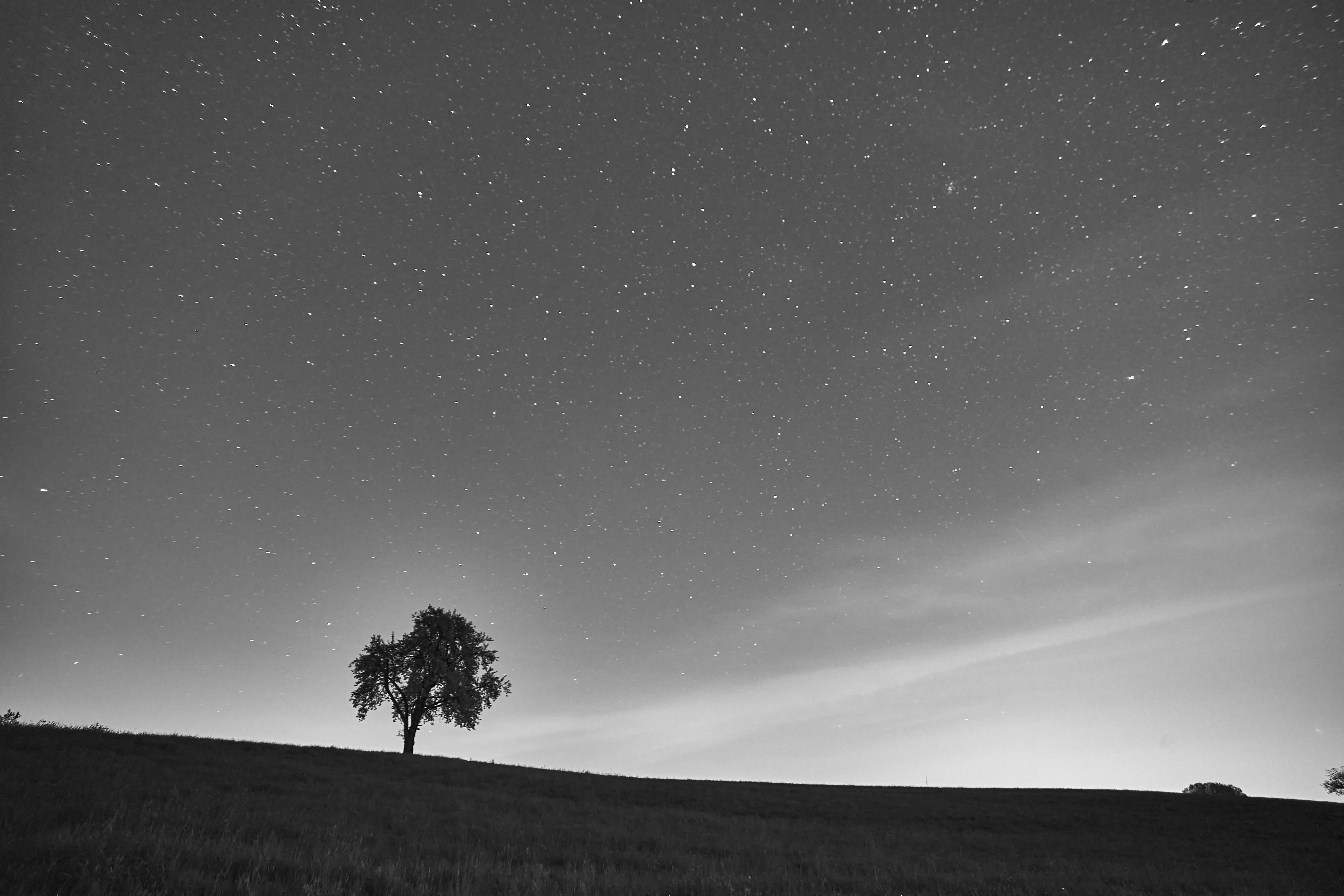 Photo by wolfgang_hasselmann