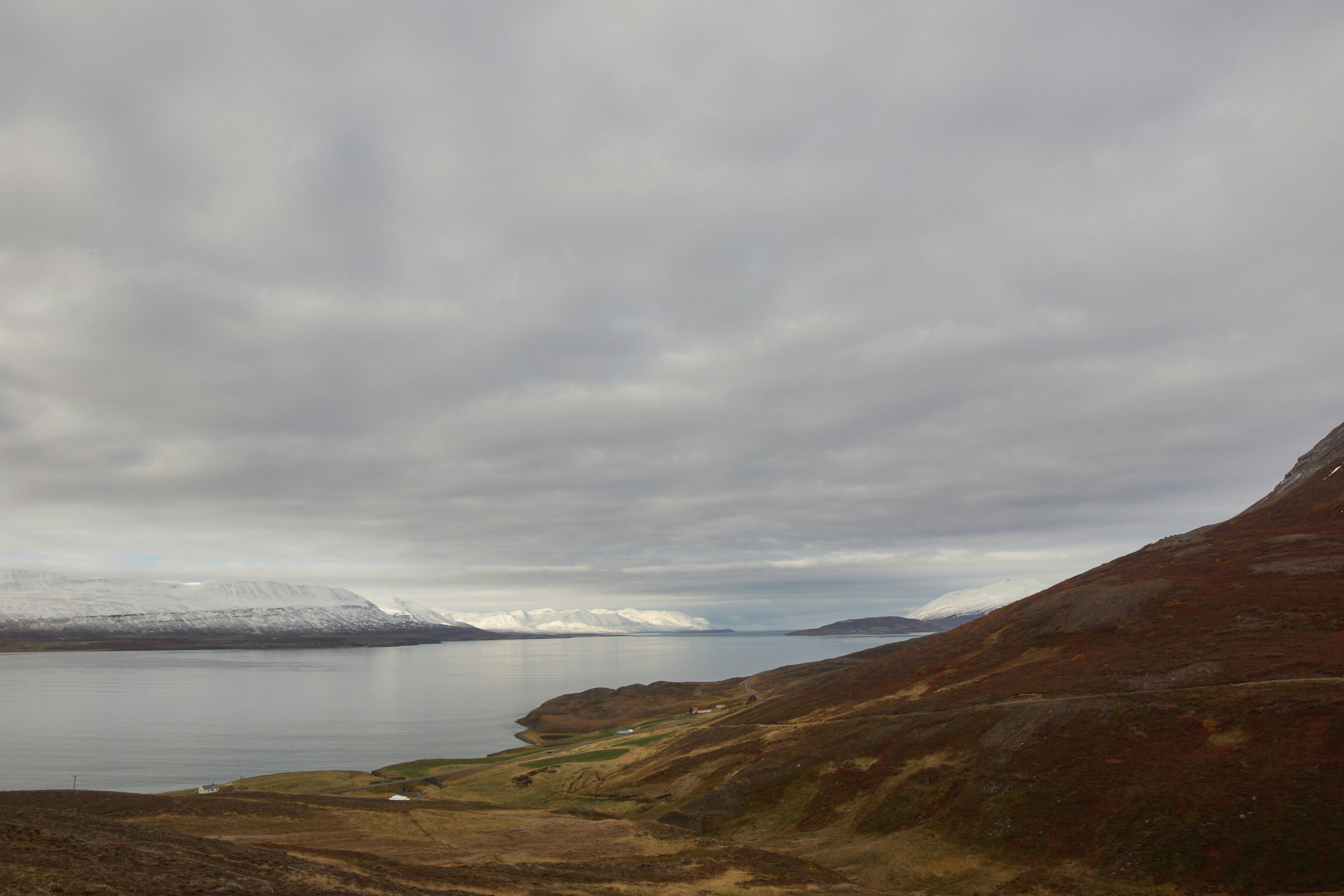 Photo by wolfgang_hasselmann