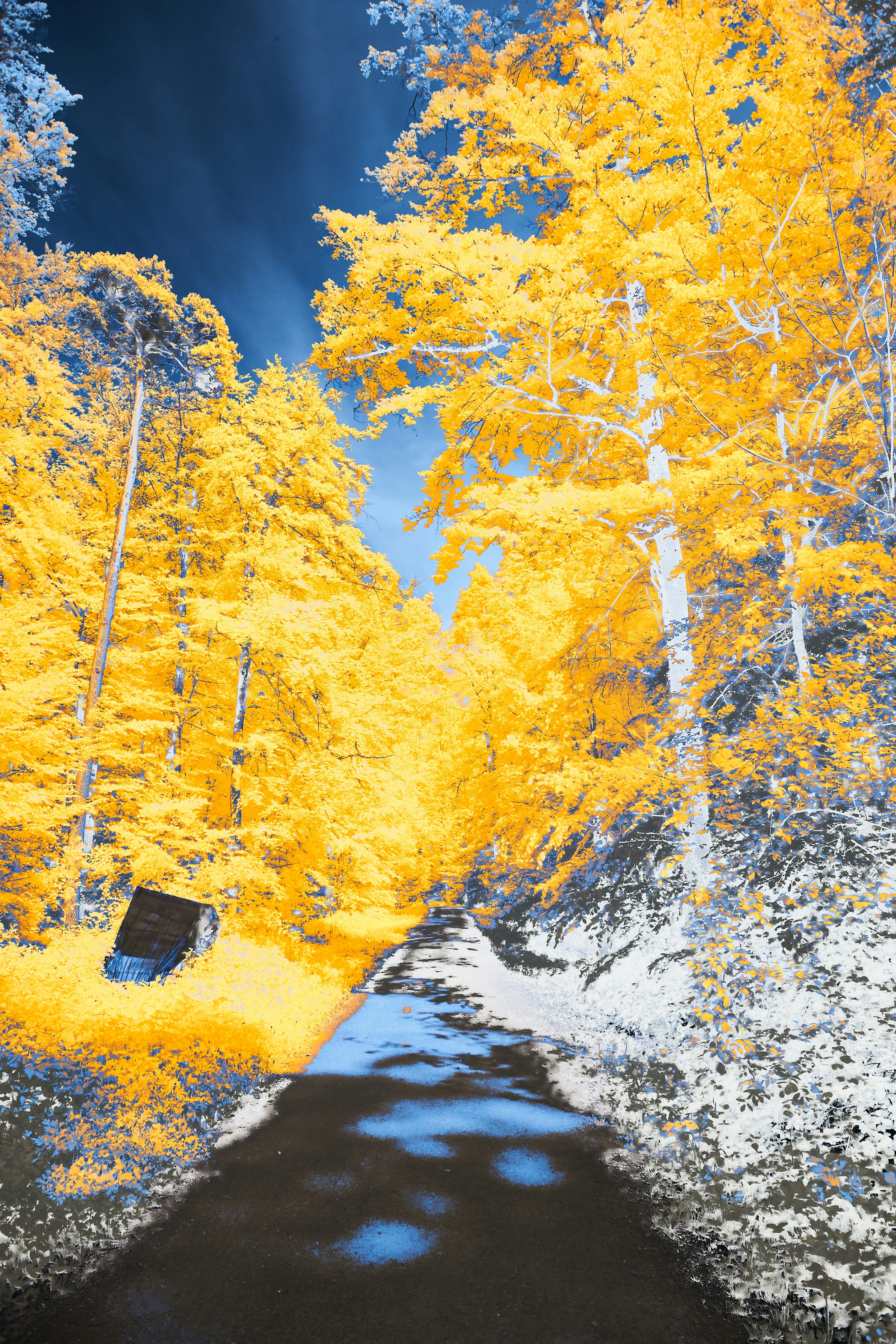 Photo by wolfgang_hasselmann