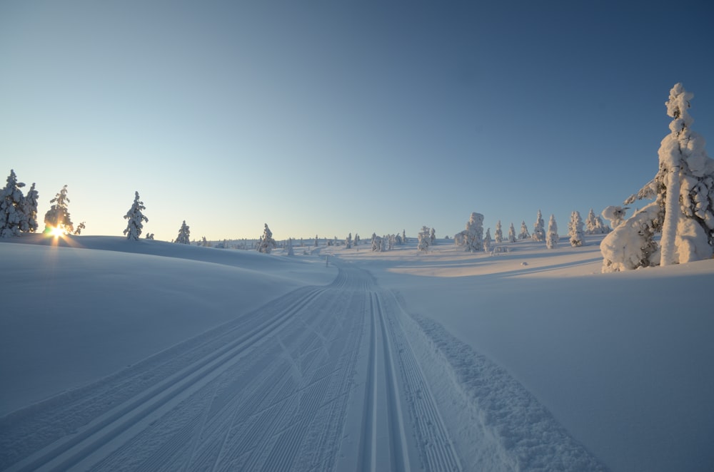 the sun shines brightly on a snowy landscape