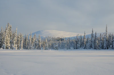 A snow-covered fell in Pallas-Yllästunturi National Park — Ylläs, Finland