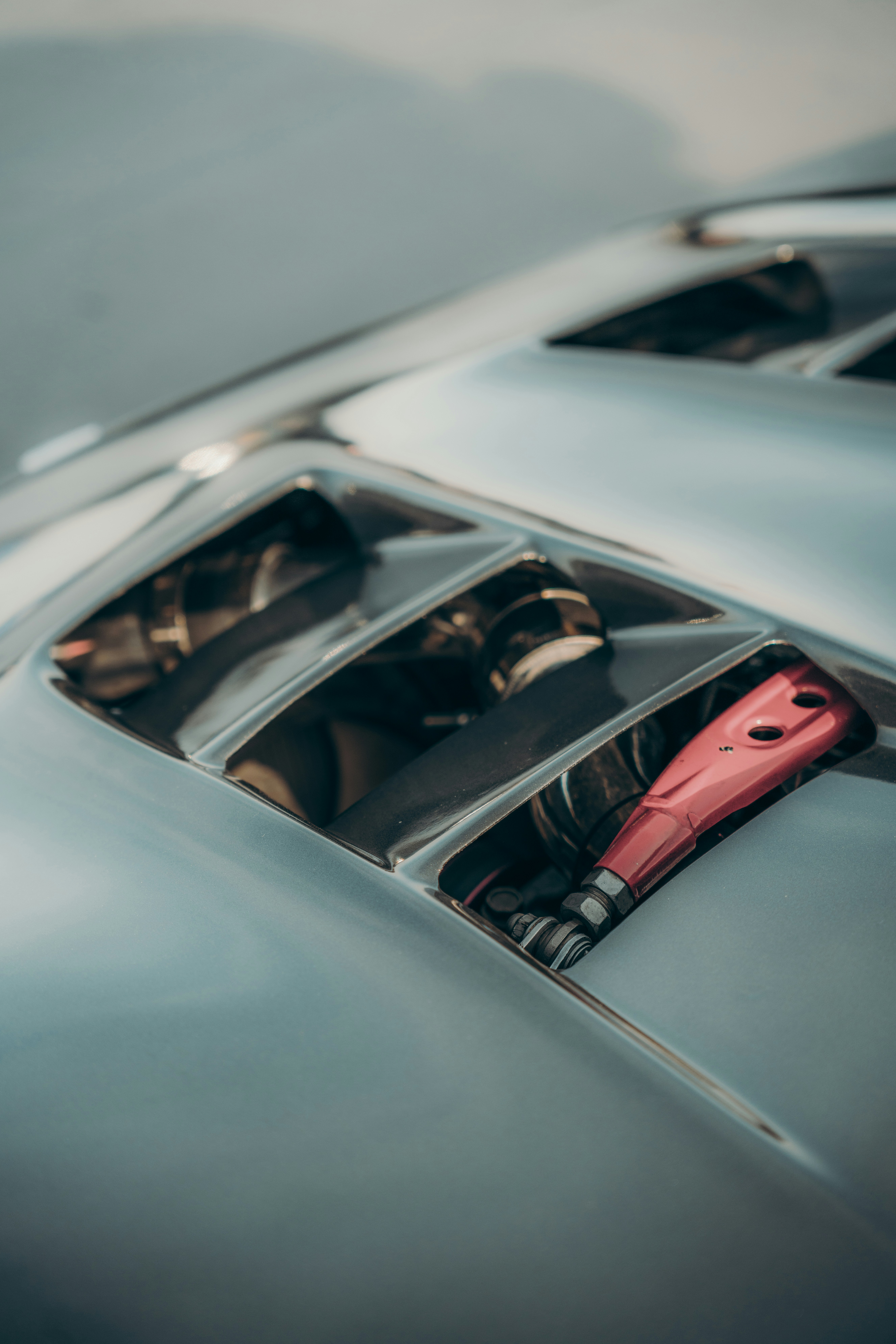 Photo by colemangloverphotography