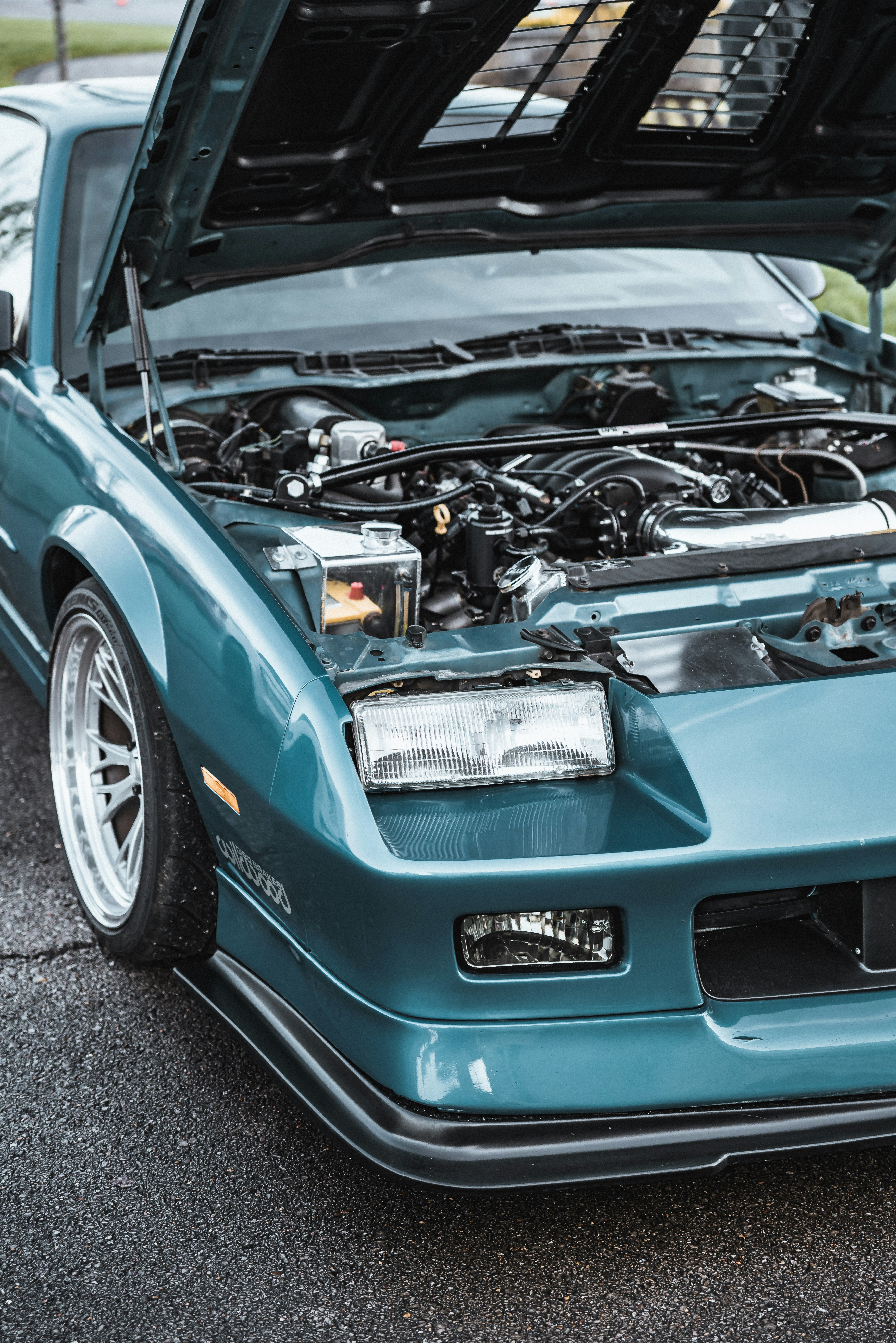 Photo by colemangloverphotography