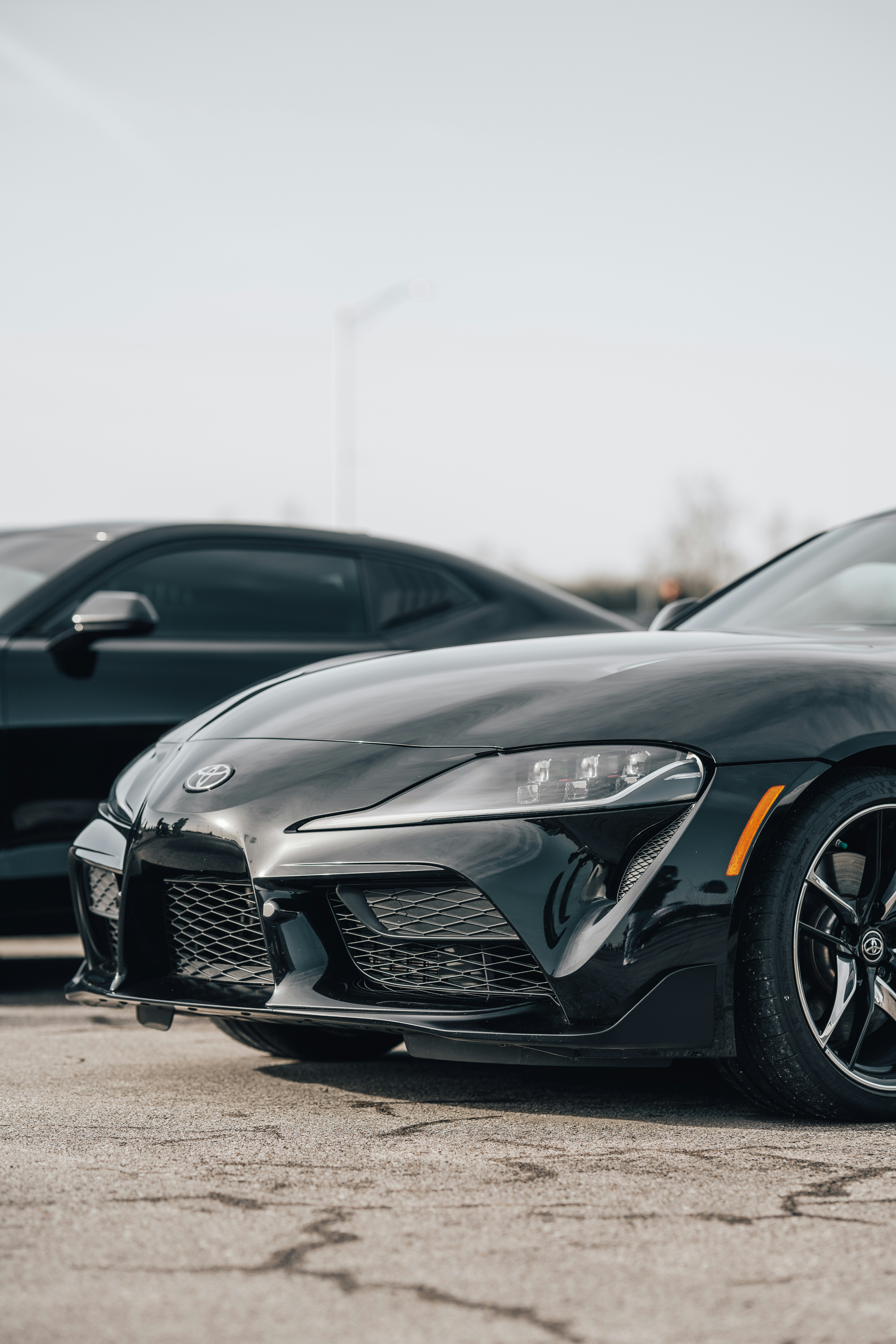 Photo by colemangloverphotography