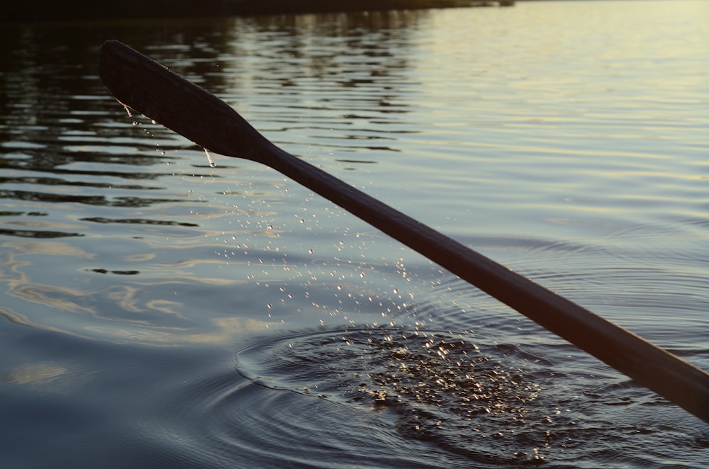 a single oar floating on top of a body of water