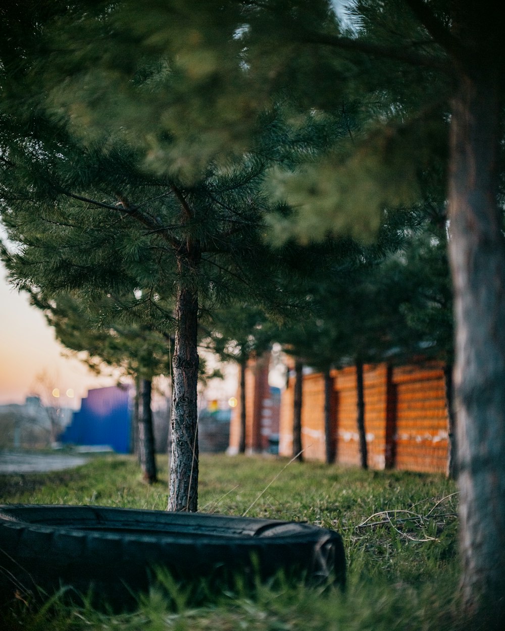 a boat sitting in the grass next to a tree