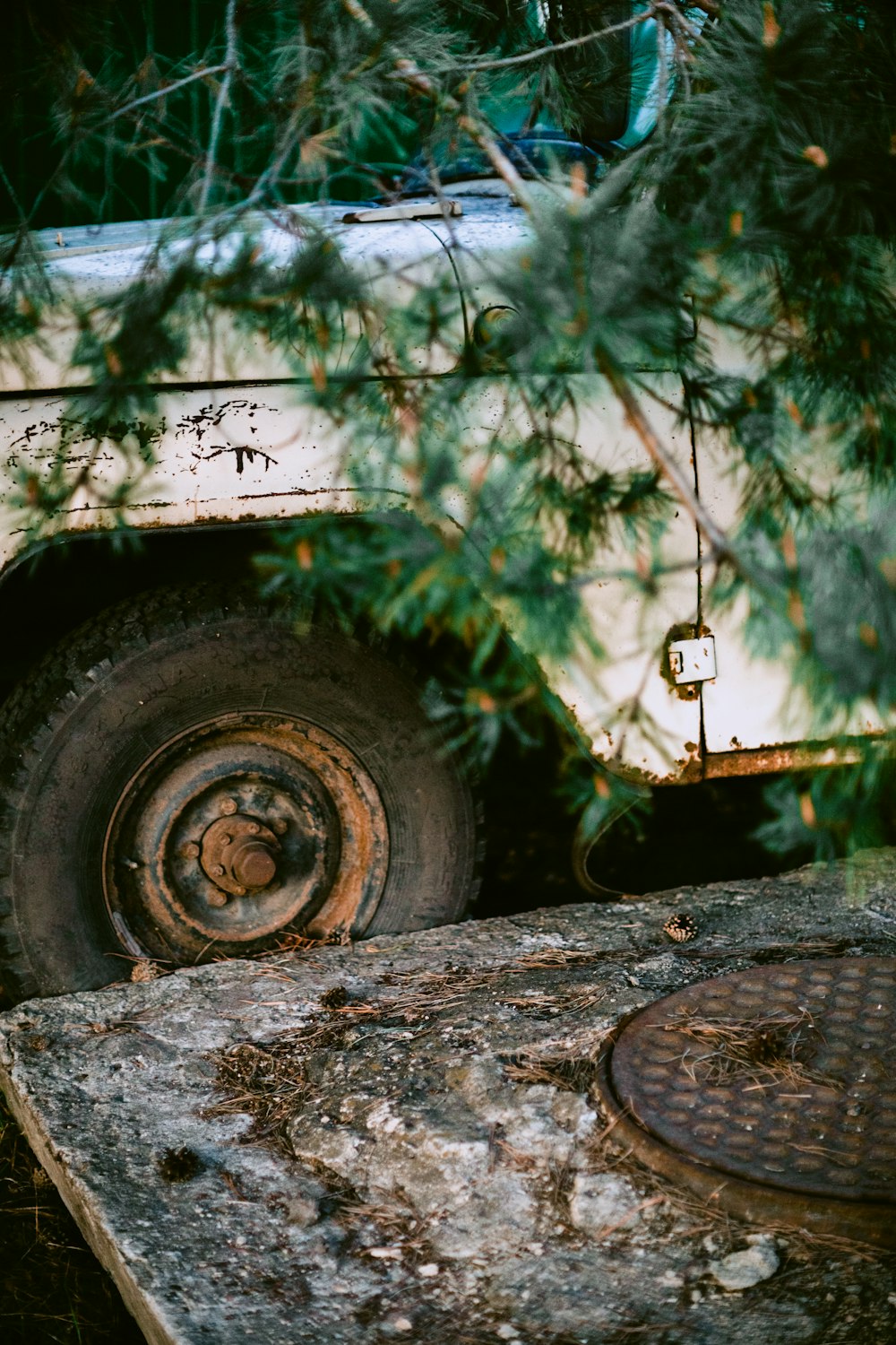 a rusted out truck sitting on top of a tree