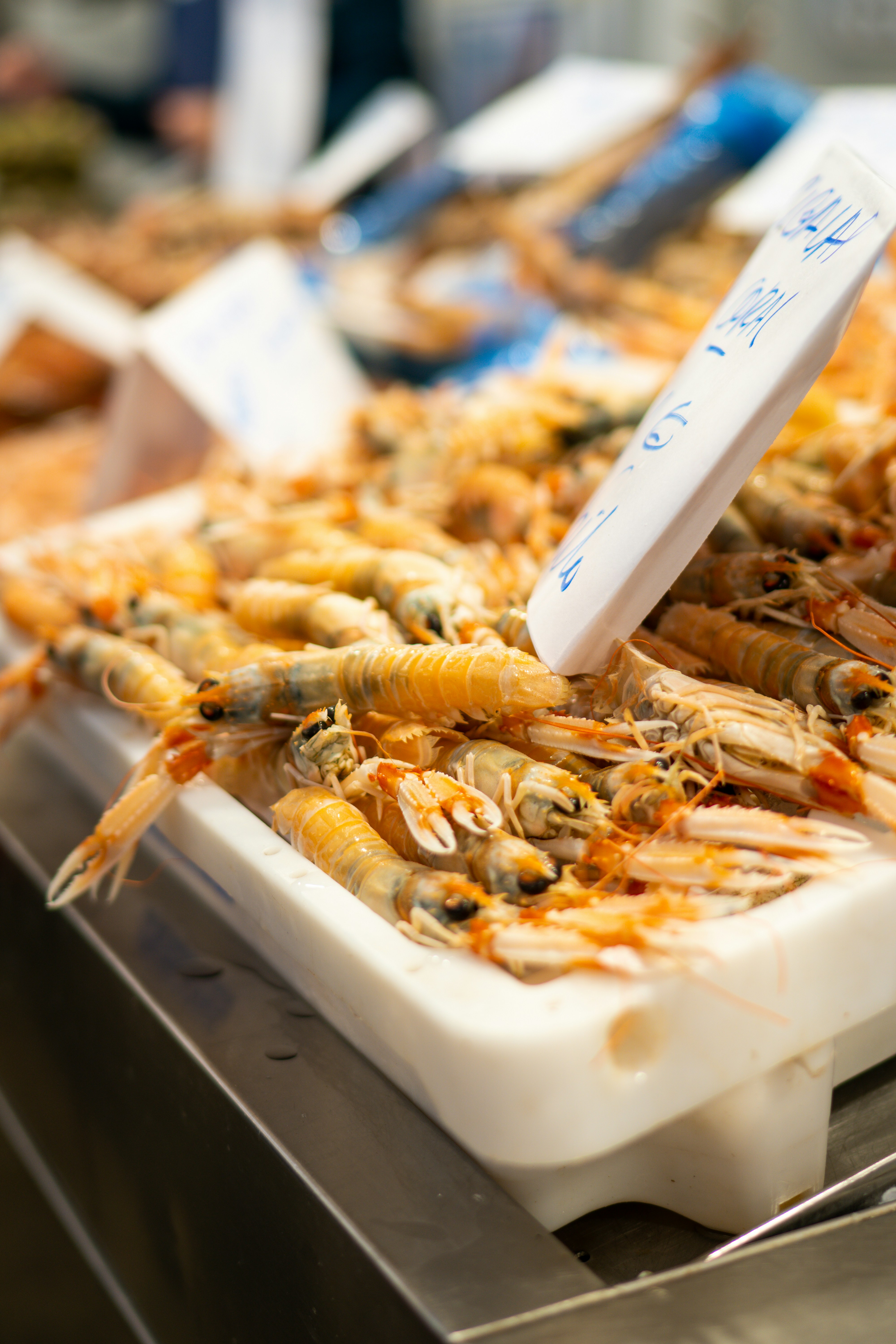 Photo by gensebluemchen