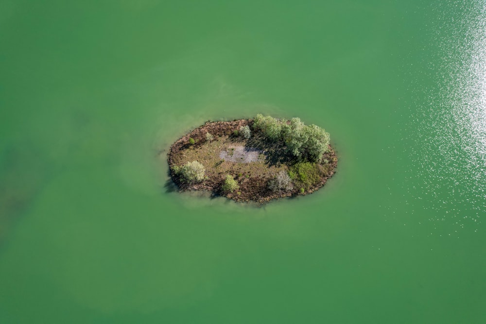 a small island in the middle of a body of water