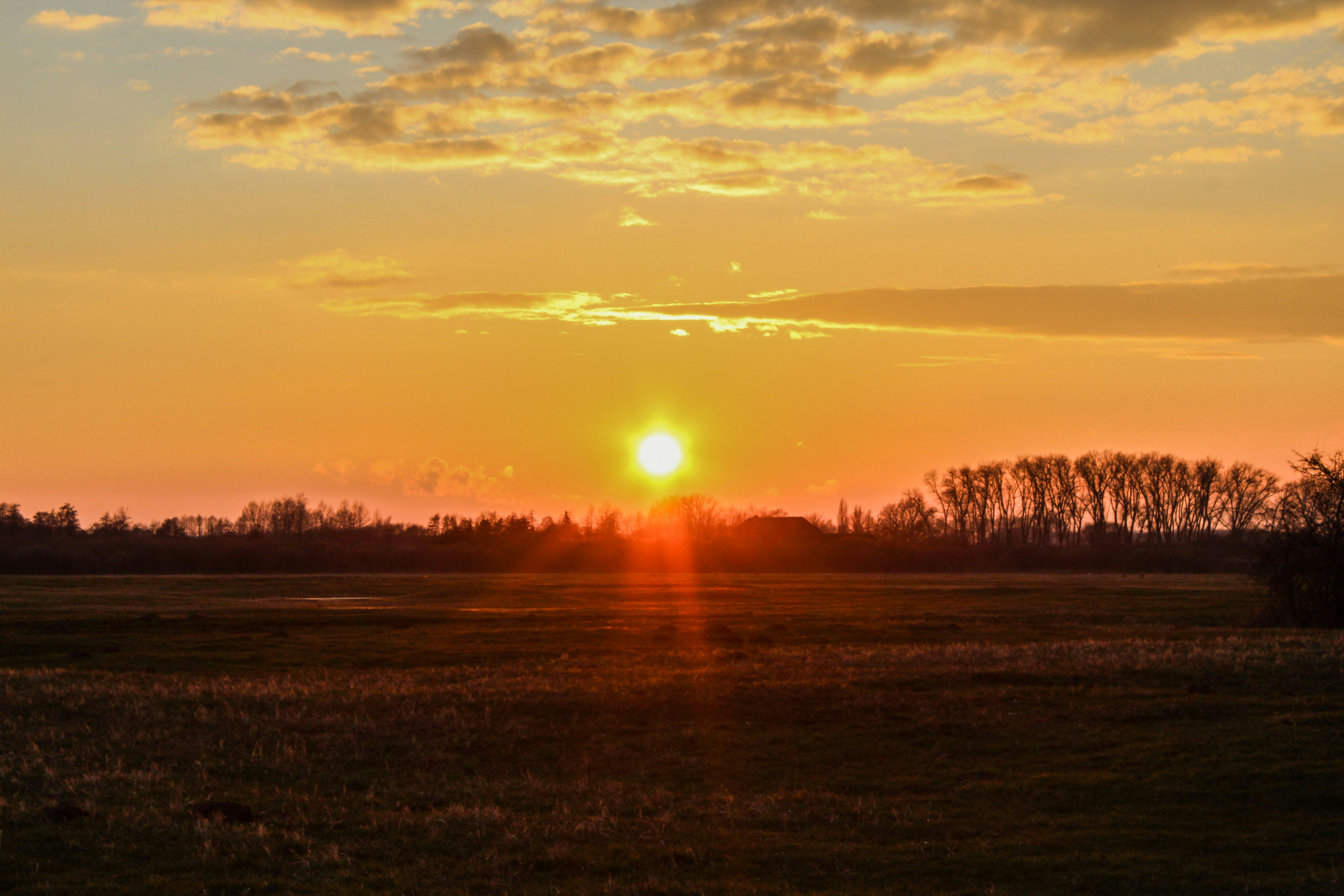 Photo by l3d1_photography_