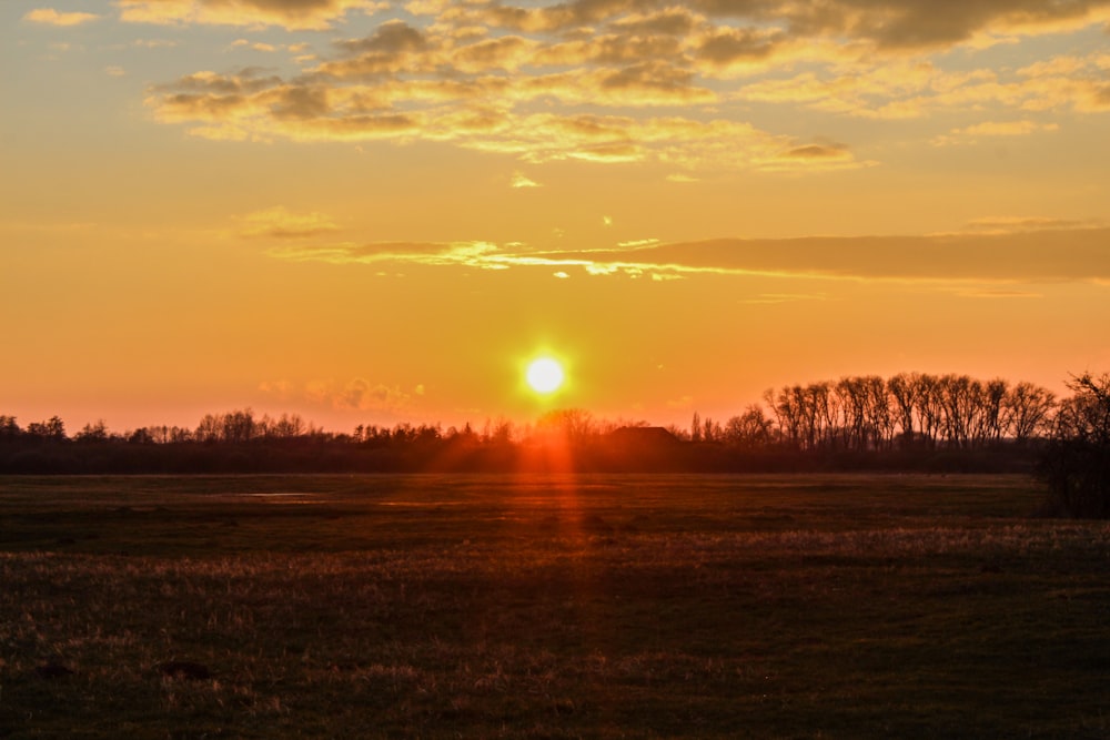 the sun is setting over a field of grass