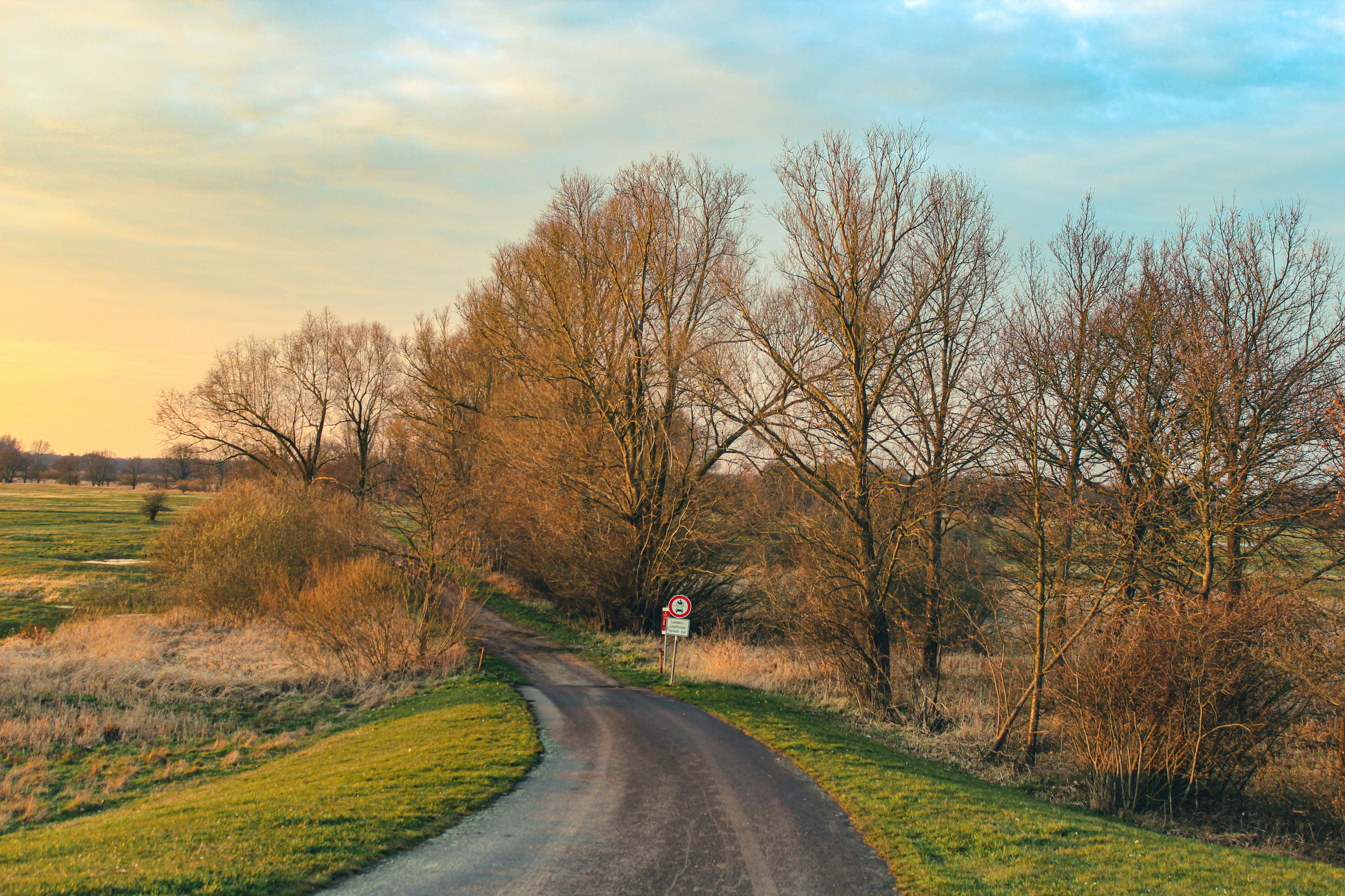 Photo by l3d1_photography_