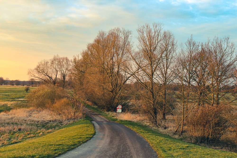 a dirt road with trees in the background