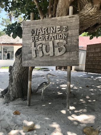 A wooden sign with the words 'Marine & Recreation Hub' is mounted on two wooden poles and positioned in front of a large tree. The sign is weathered and surrounded by a sandy area with scattered leaves. A bird, possibly a heron, stands on the ground near the base of the tree. In the background, there are some structures with thatched roofs and a small building.