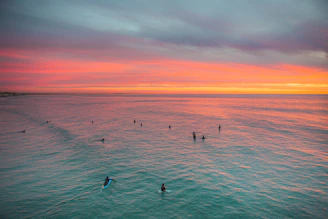 A vibrant shot of surfers catching waves at golden hour with a glowing orange sky.