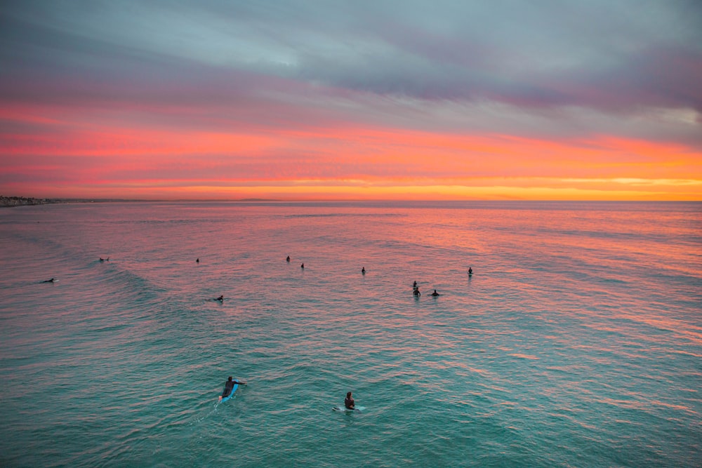 a group of people riding surfboards on top of a body of water