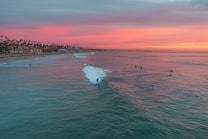 Surfers ride the waves under a vibrant pink and orange sunset sky. Palm trees and buildings line the shore in the background, creating a peaceful coastal scene.