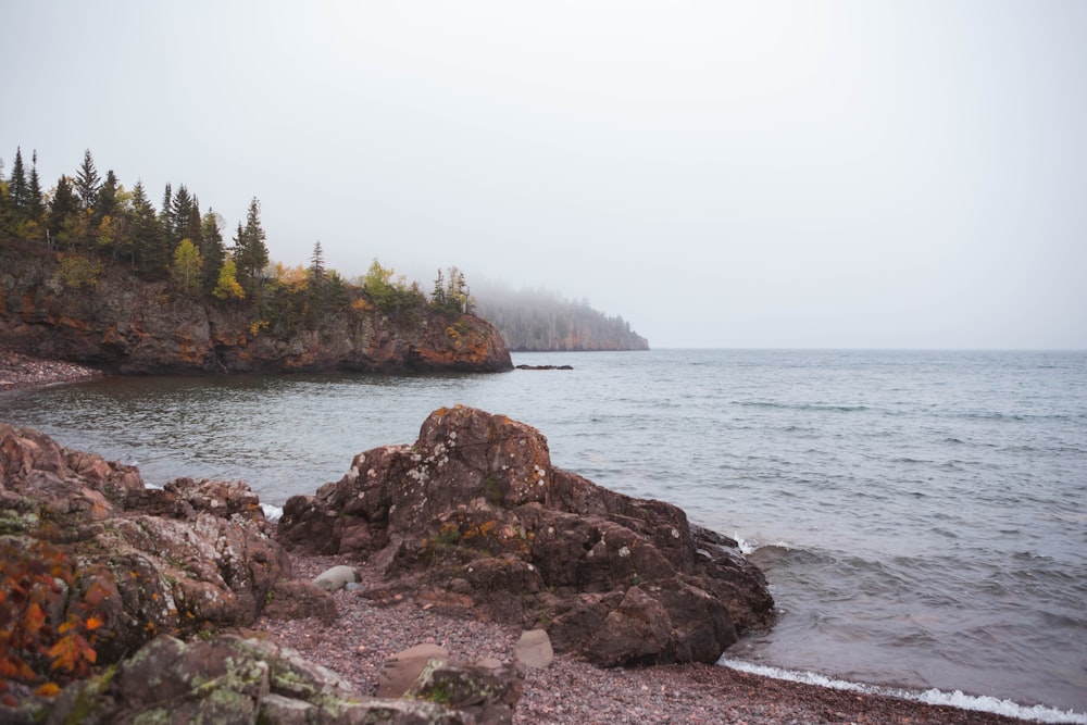 a body of water surrounded by rocks and trees