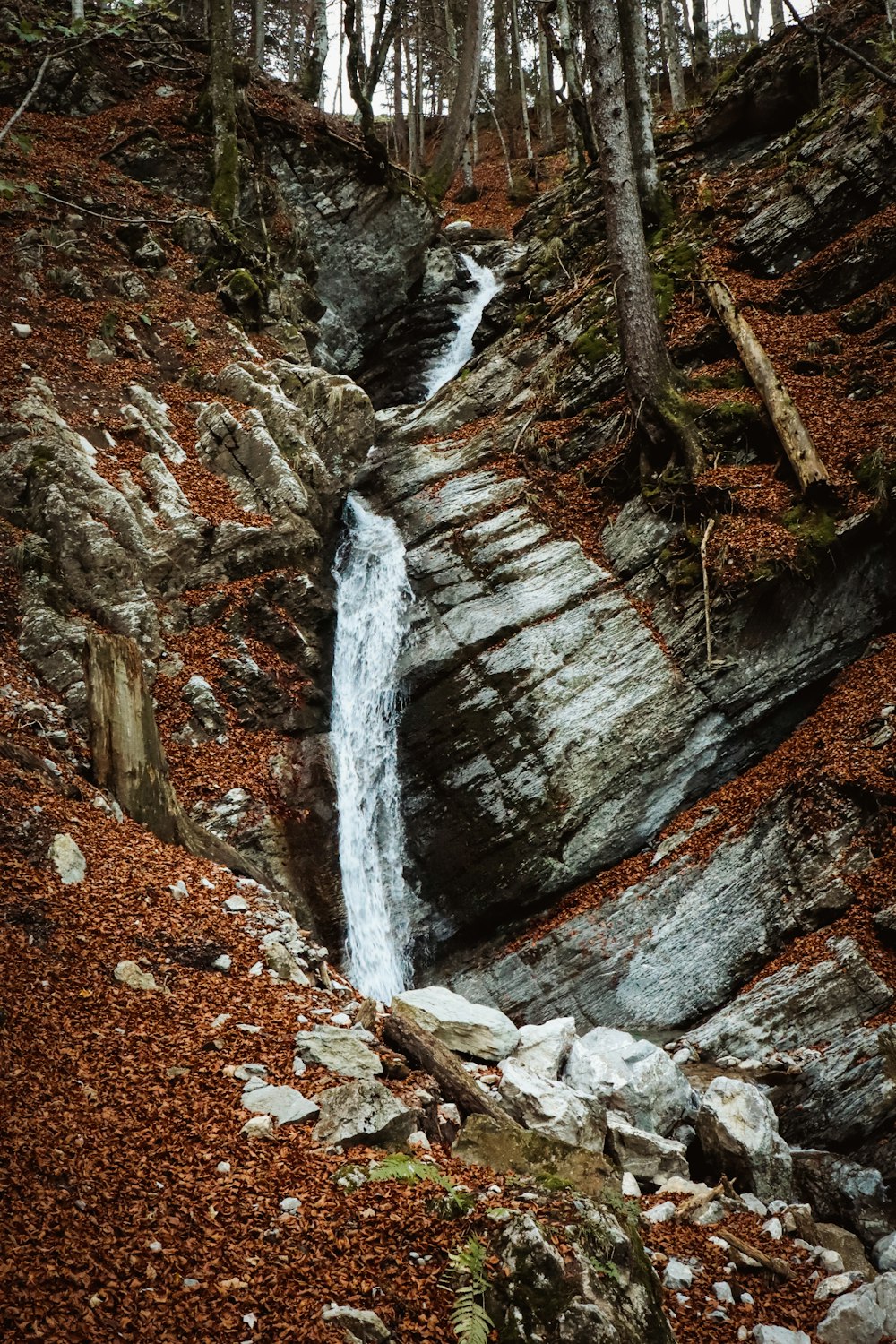 a small waterfall in the middle of a forest