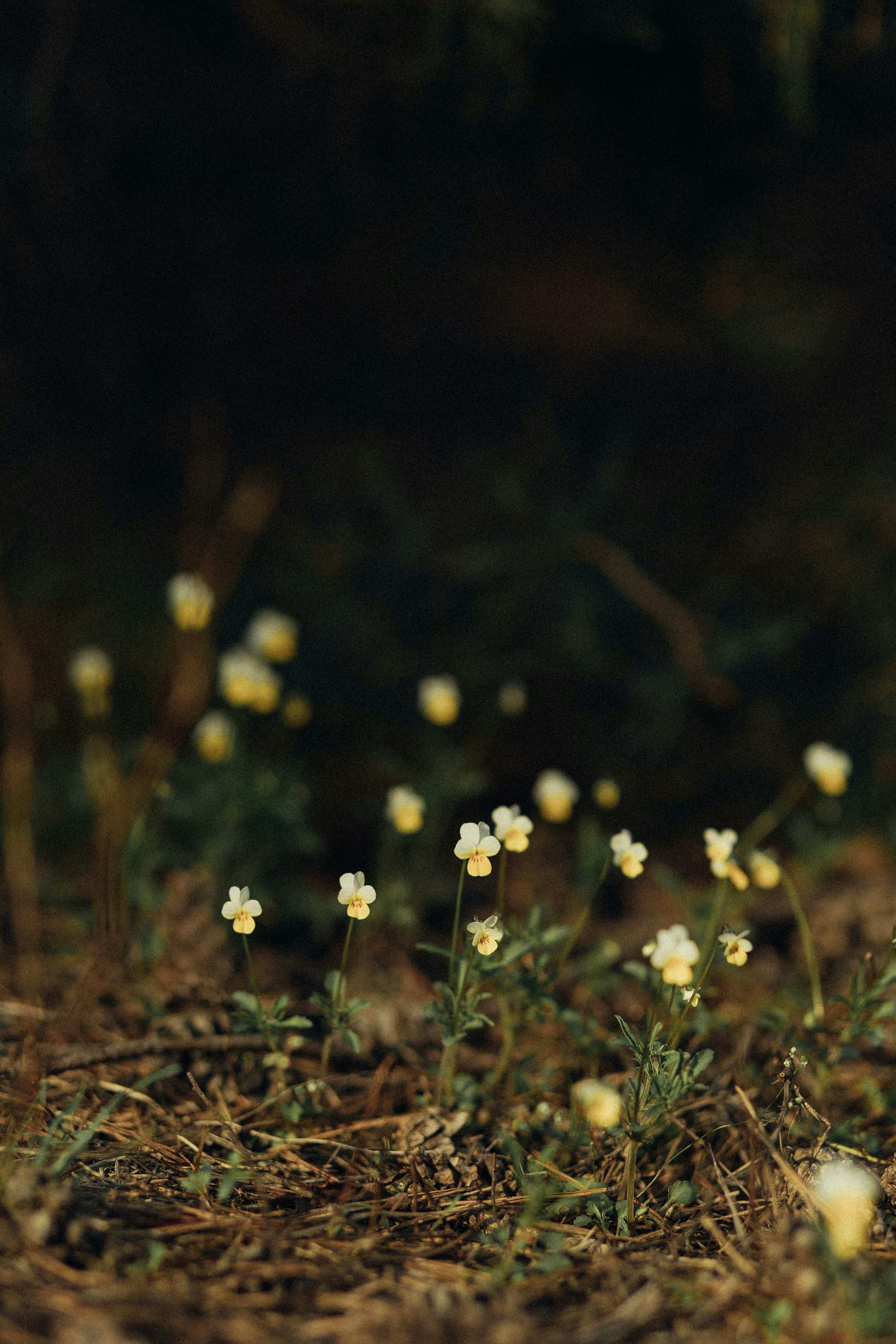 Photo by raspopovamarisha