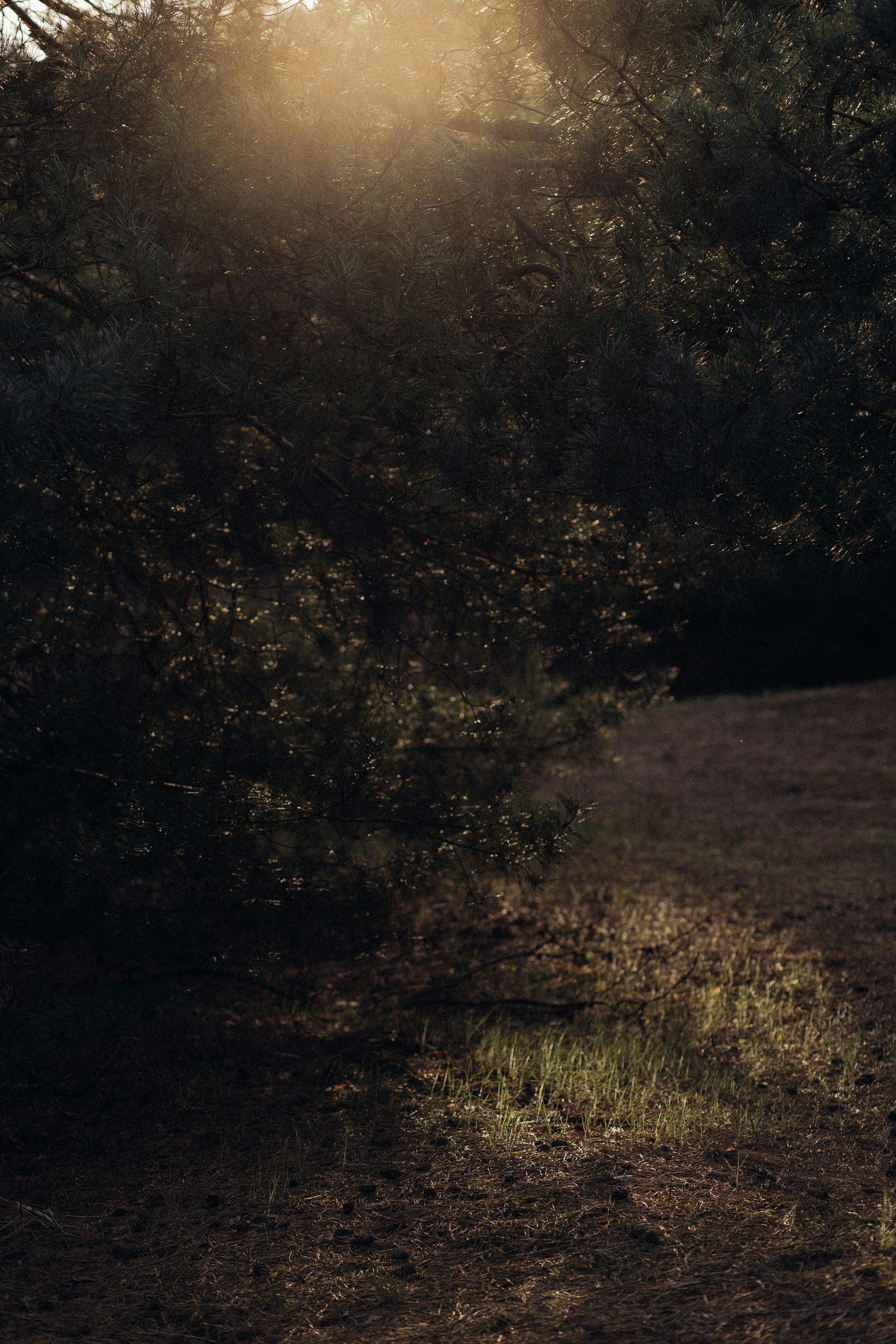 Photo by raspopovamarisha