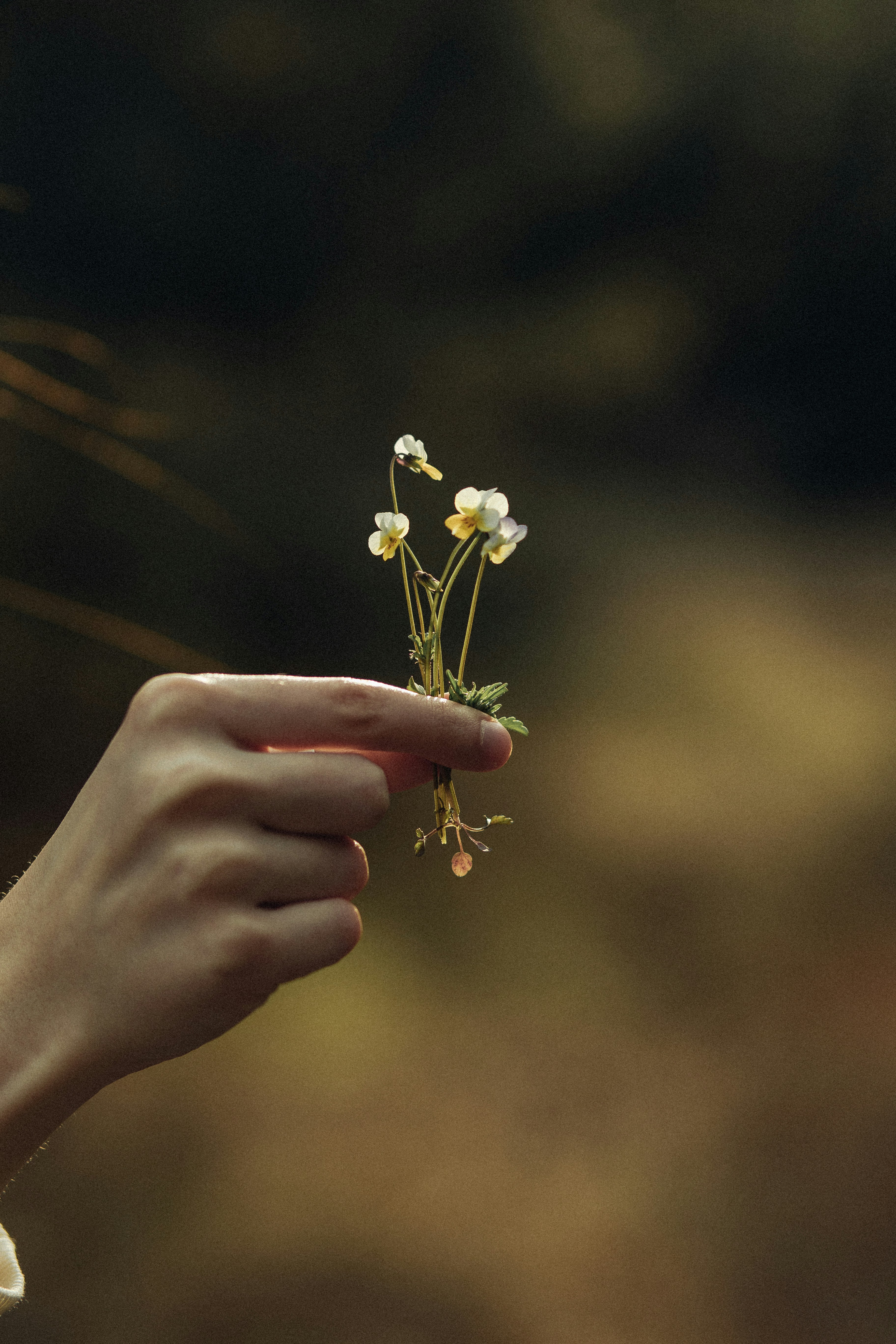 Photo by raspopovamarisha