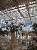 An indoor space with a modern architectural design featuring a glass ceiling and metal beams. The area includes greenery with several potted plants and white furniture, including chairs and tables, creating a contemporary and airy atmosphere.