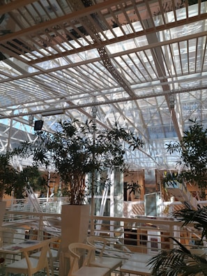 An indoor space with a modern architectural design featuring a glass ceiling and metal beams. The area includes greenery with several potted plants and white furniture, including chairs and tables, creating a contemporary and airy atmosphere.