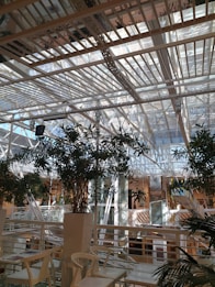 An indoor space with a modern architectural design featuring a glass ceiling and metal beams. The area includes greenery with several potted plants and white furniture, including chairs and tables, creating a contemporary and airy atmosphere.