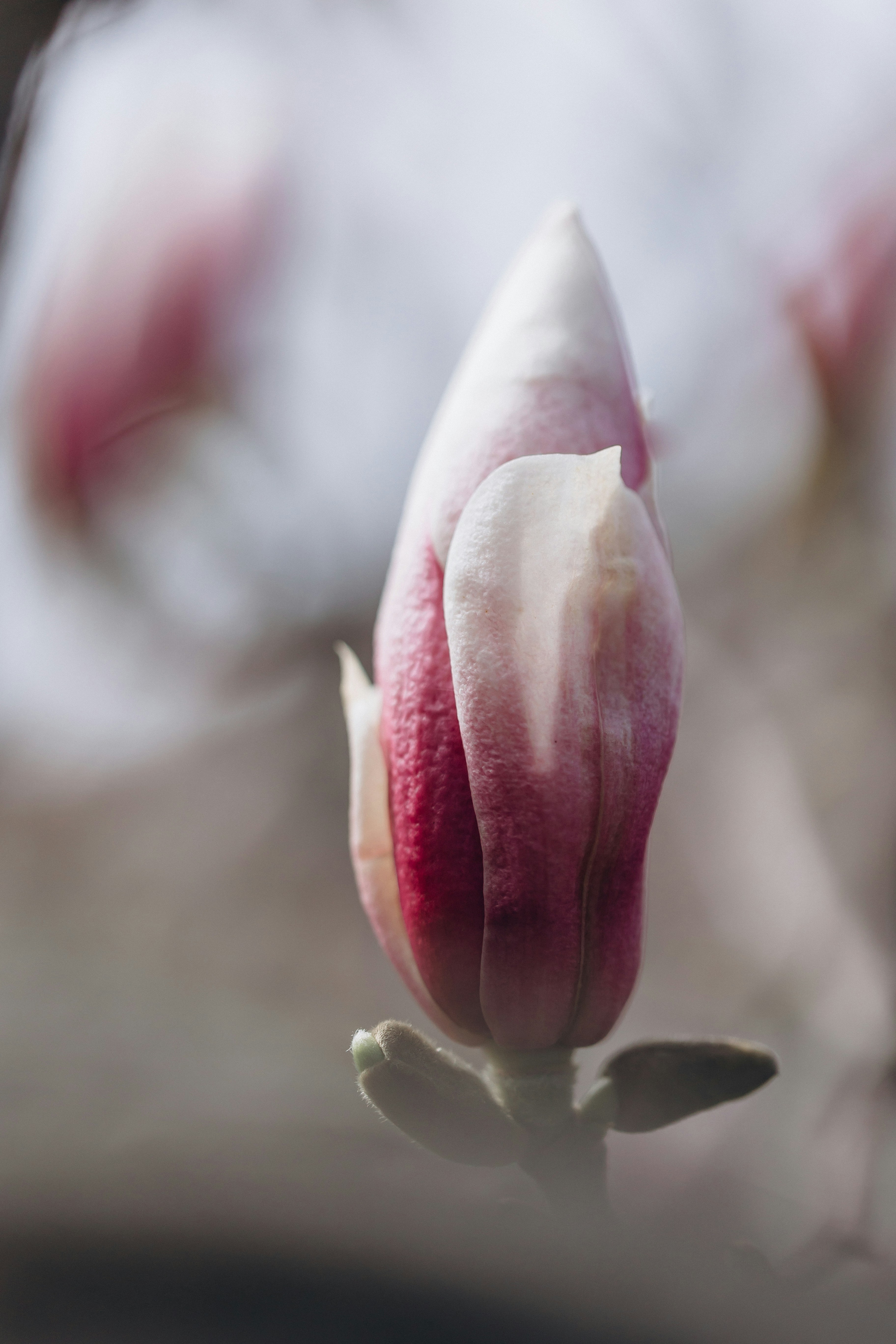 Photo by raspopovamarisha