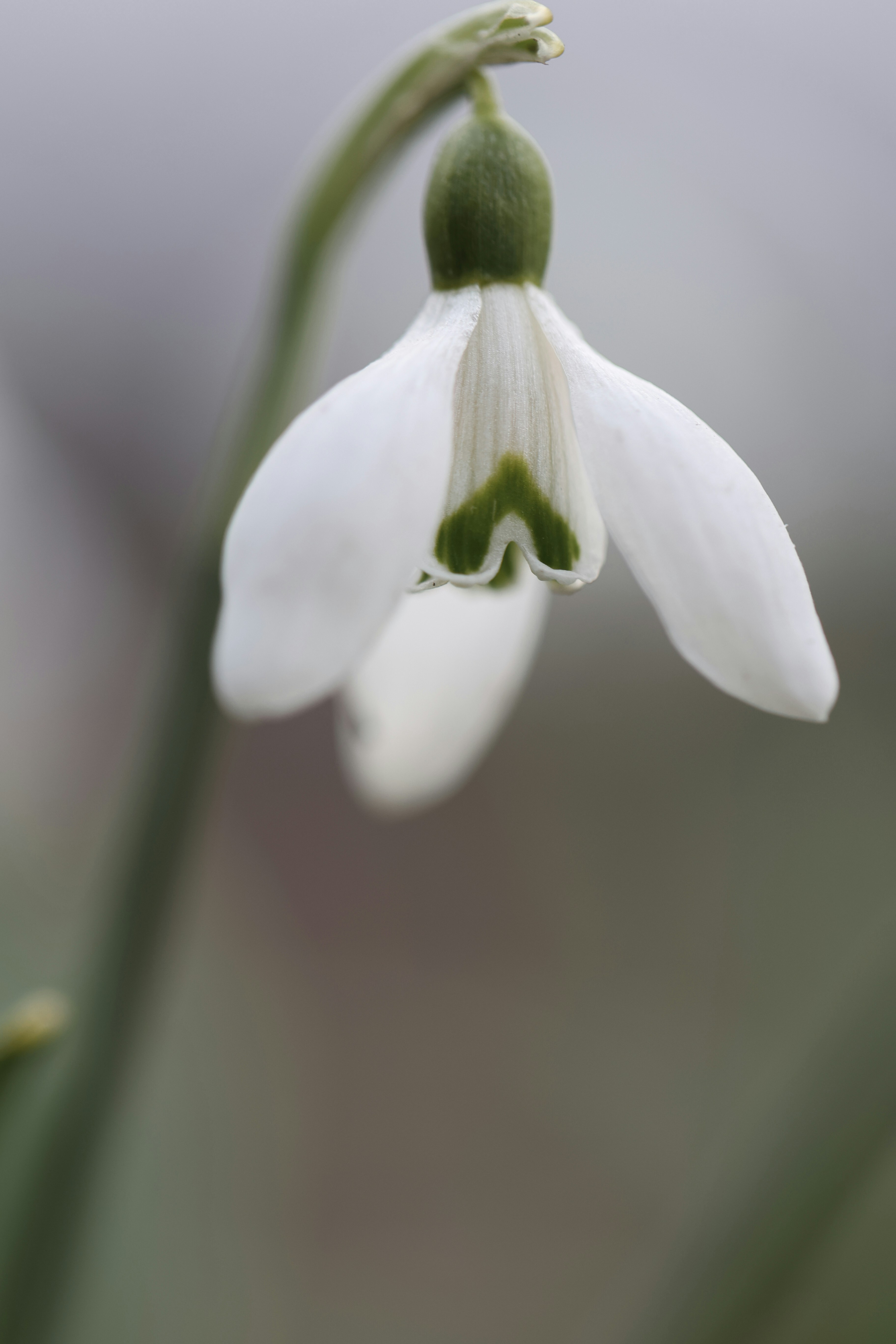 Photo by raspopovamarisha