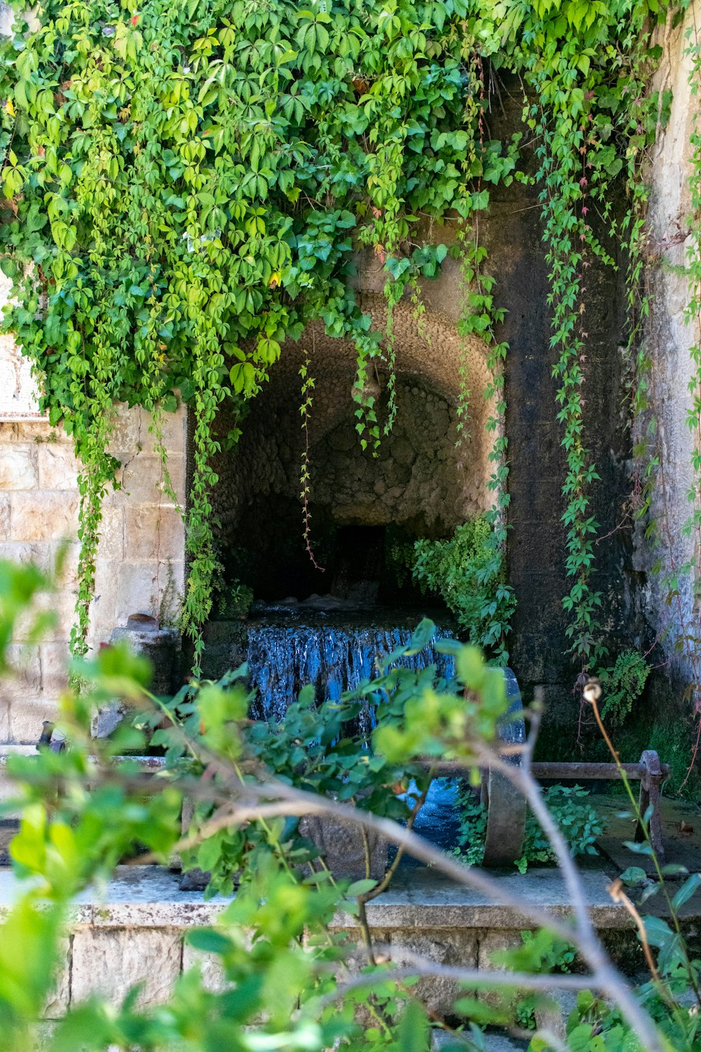 a garden with a fountain surrounded by greenery