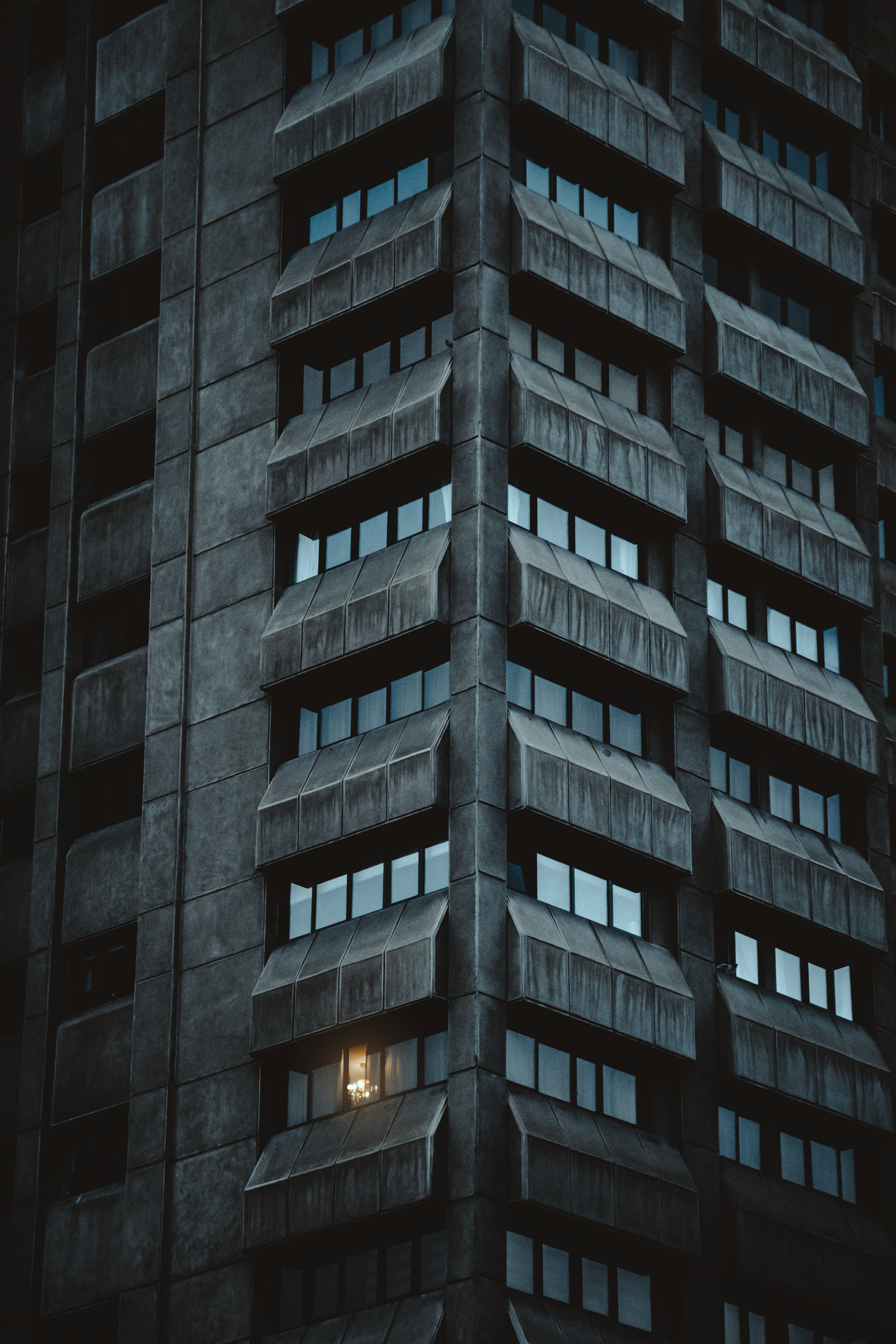 Photo by mahdibafande