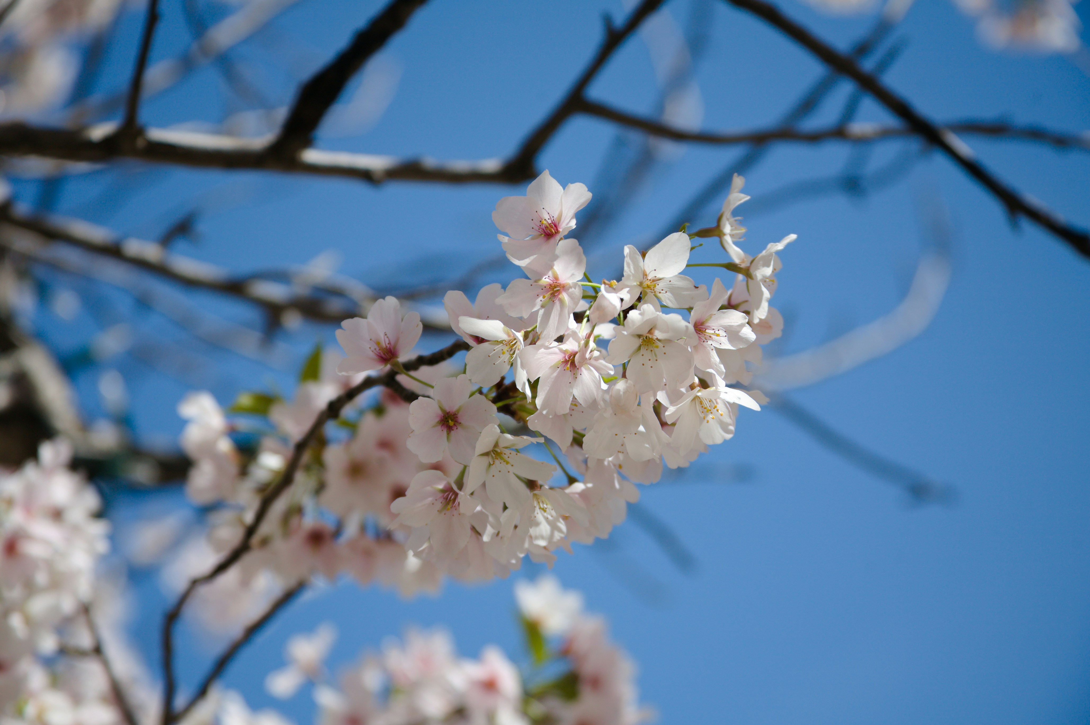 Photo by jothamsutharson