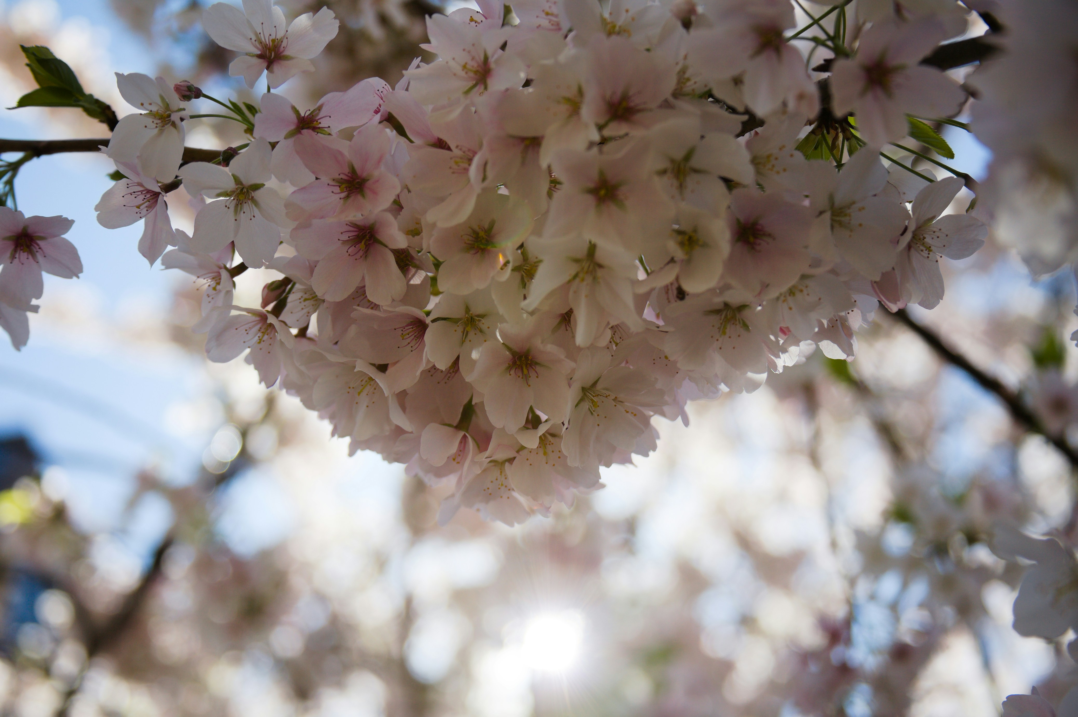 Photo by jothamsutharson