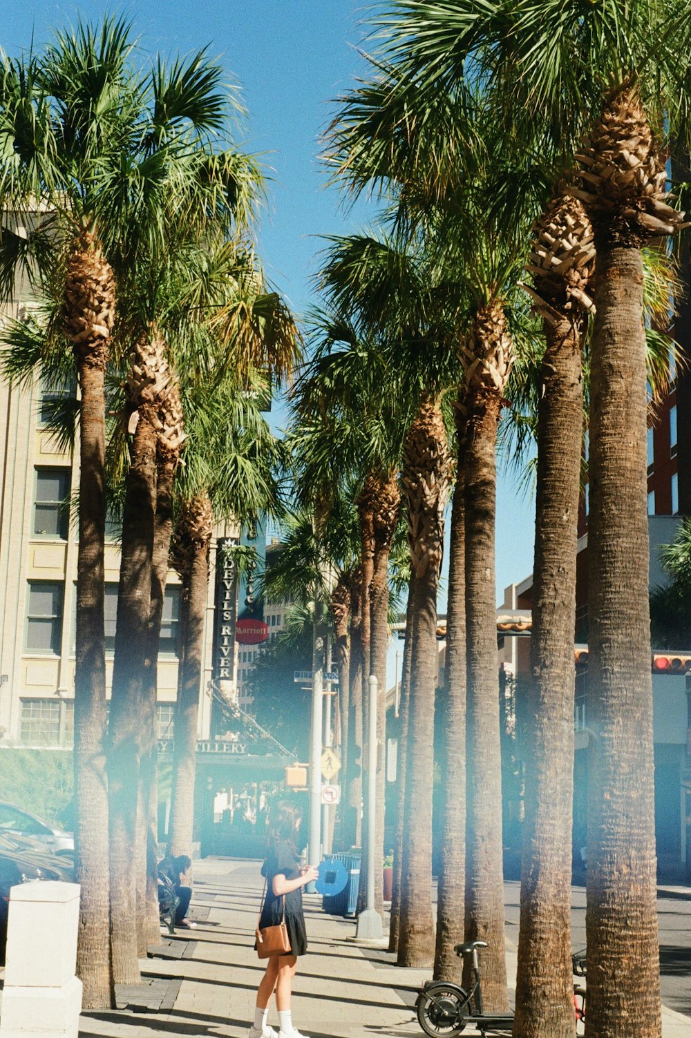 a woman walking down a sidewalk between palm trees
