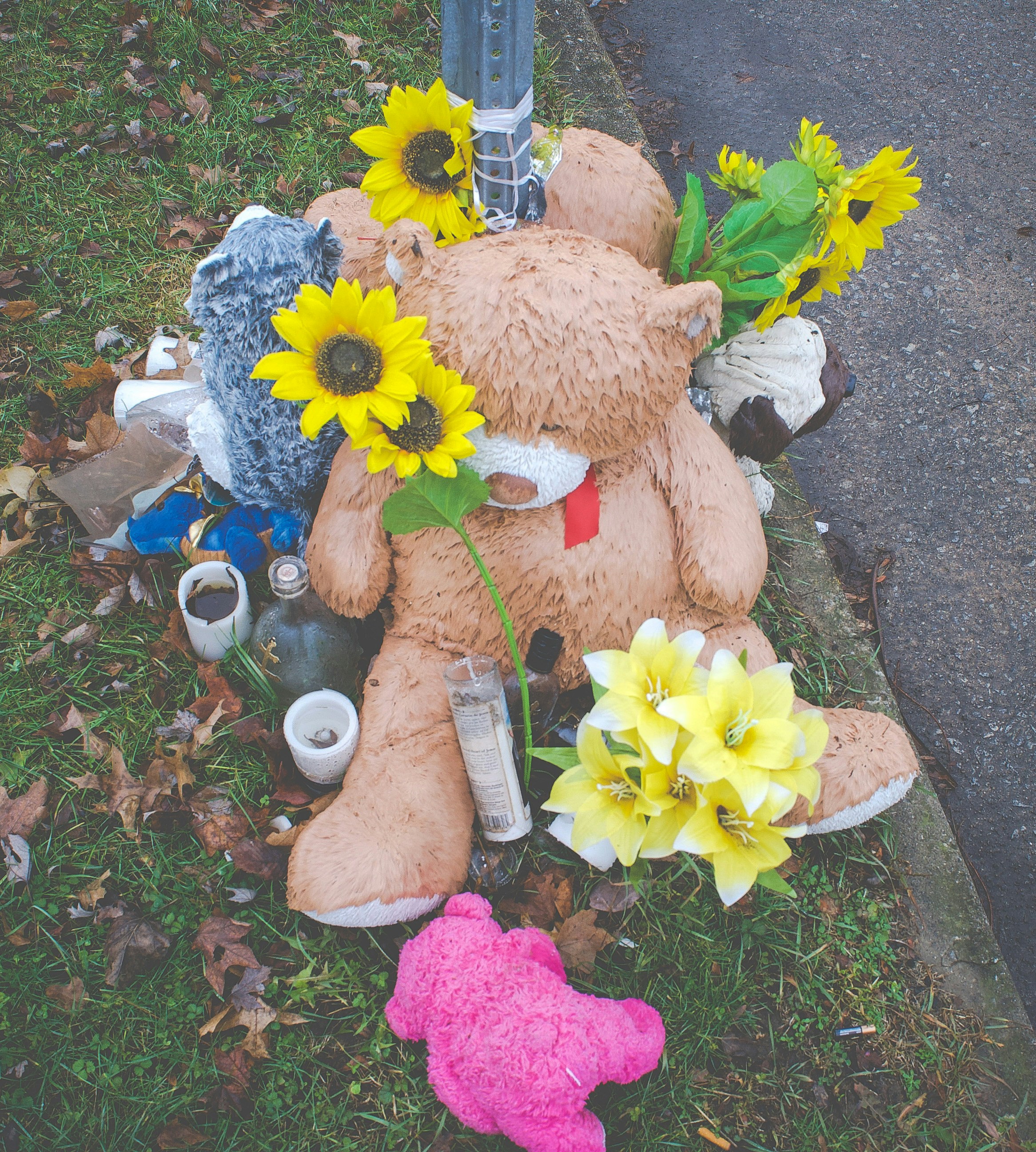 Healing Journals for Grieving Hearts